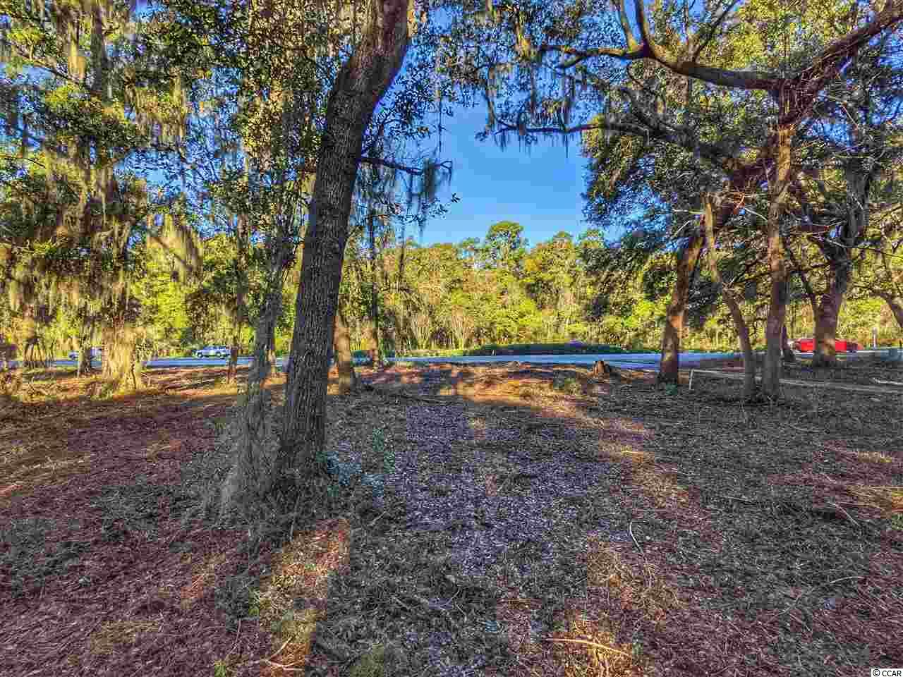 Ocean Hwy., Pawleys Island, South Carolina image 8