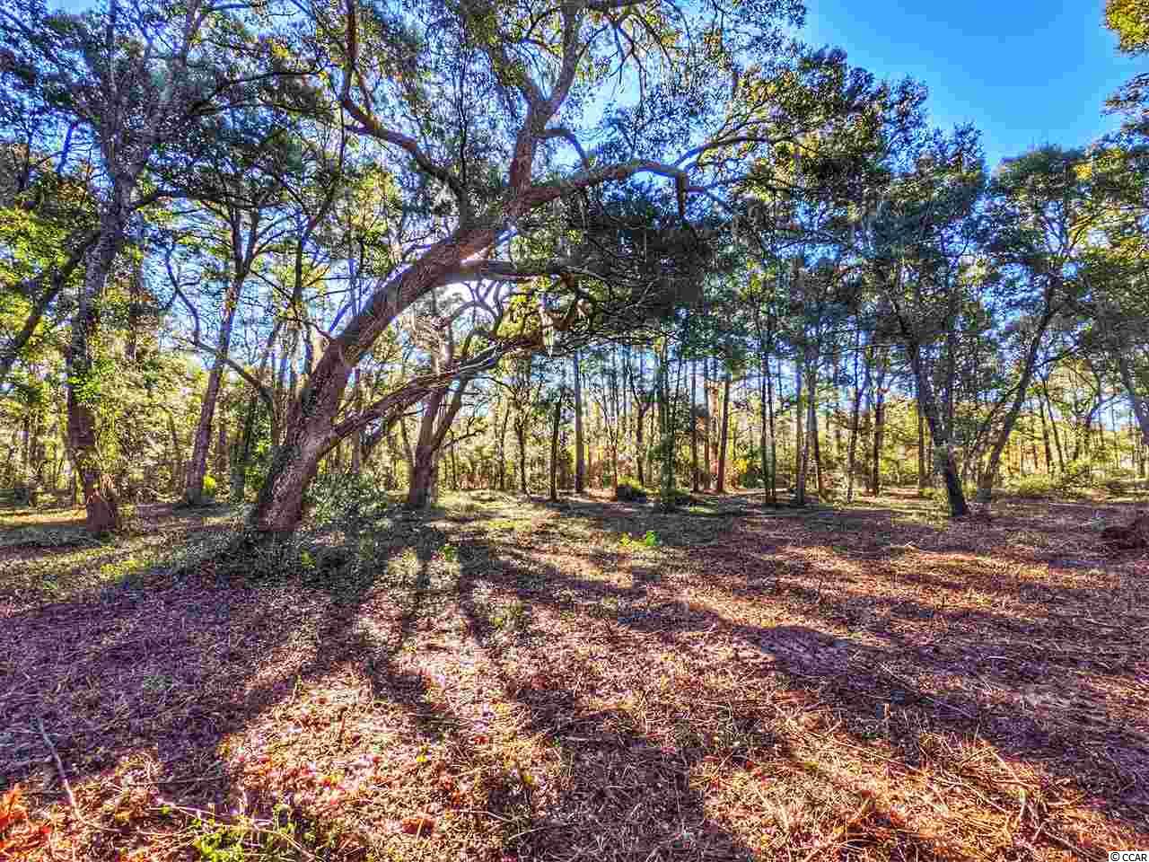 Ocean Hwy., Pawleys Island, South Carolina image 9