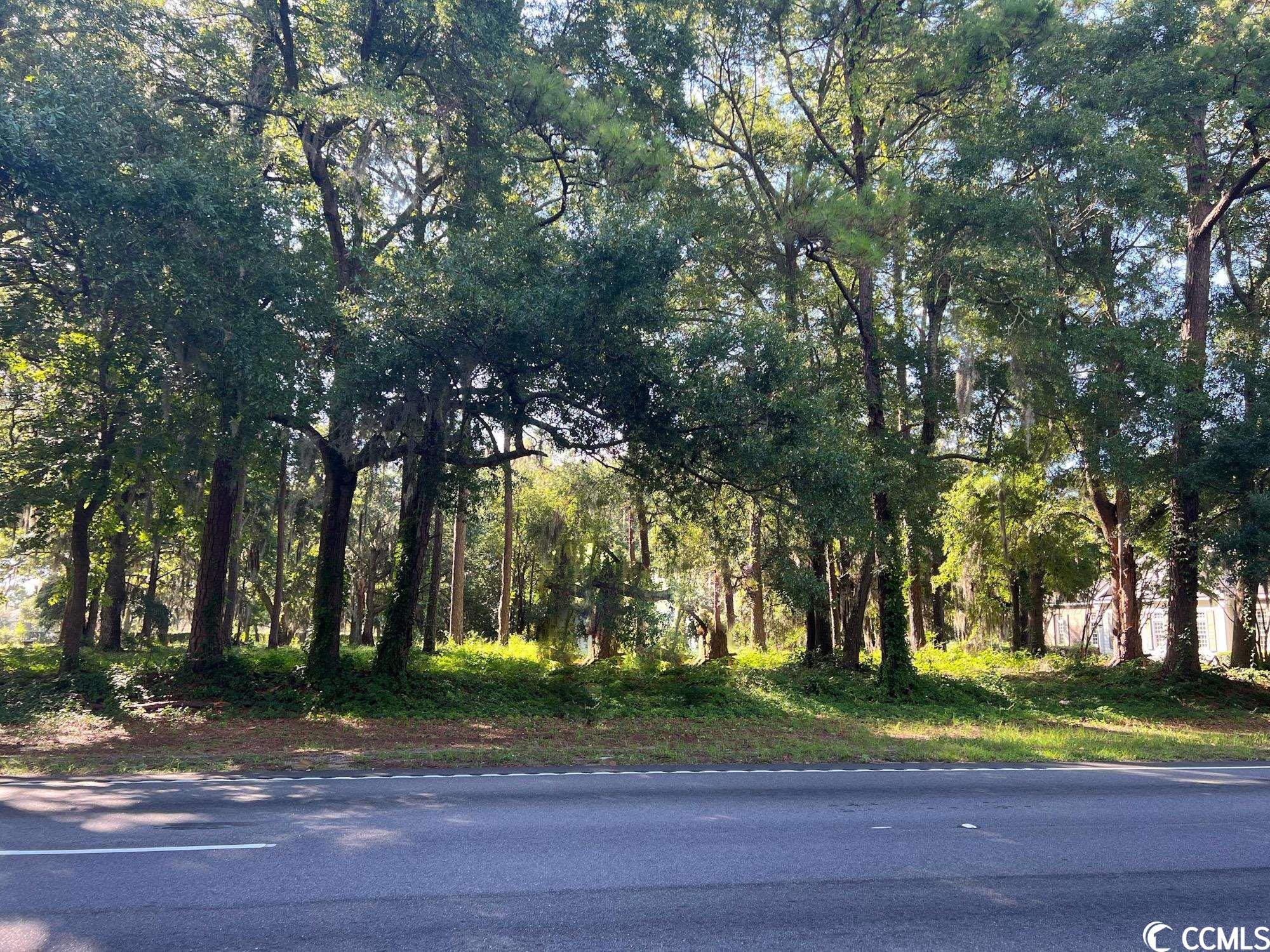 Lot 4-B Wall St., Pawleys Island, South Carolina image 1