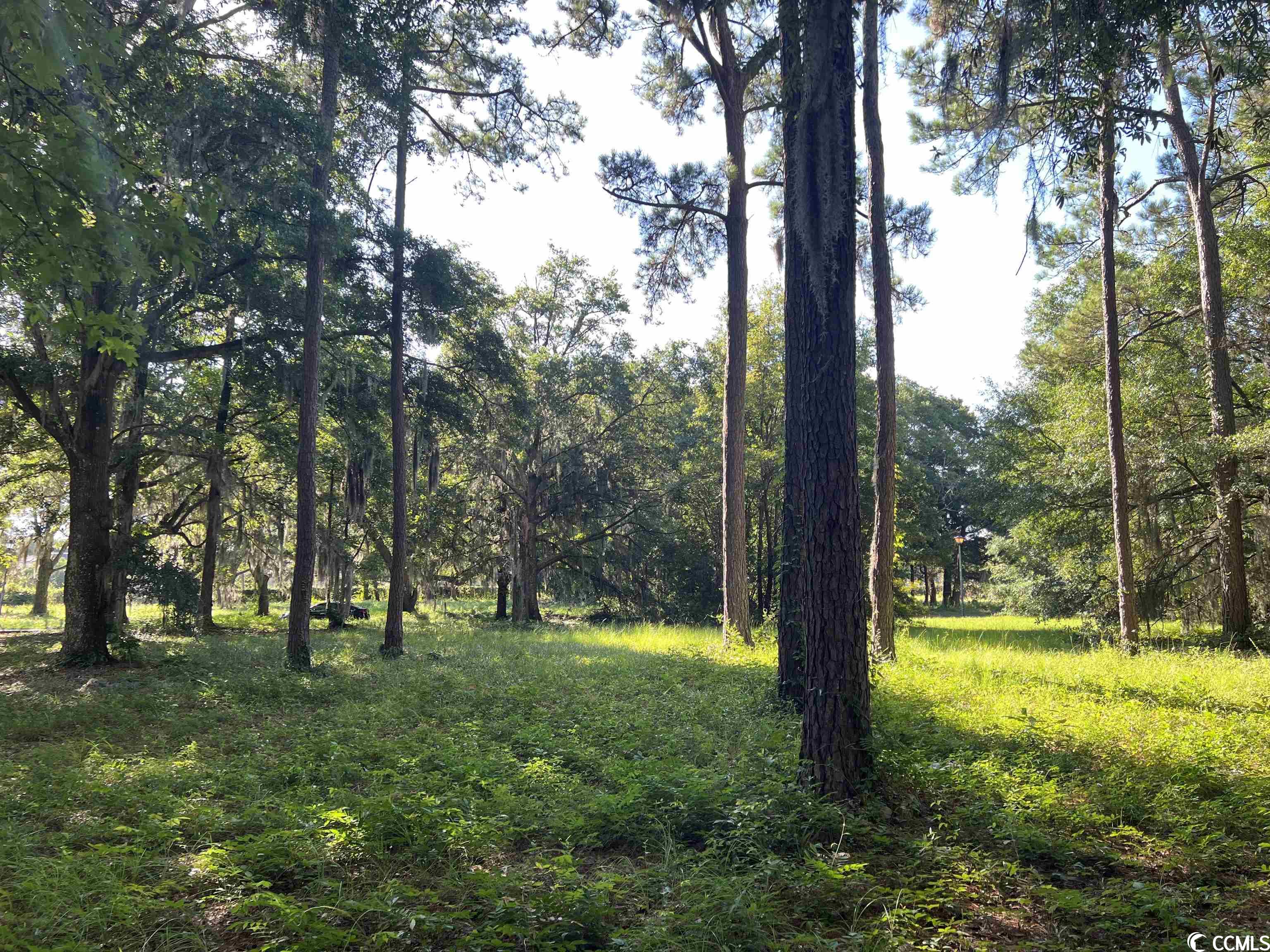 Lot 4-B Wall St., Pawleys Island, South Carolina image 4