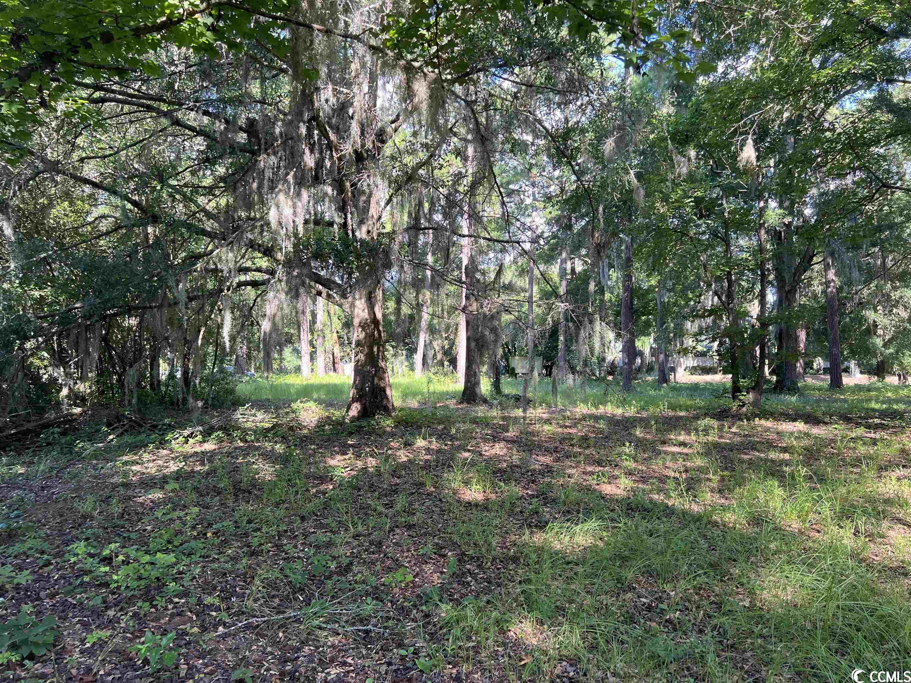 Lot 4-B Wall St., Pawleys Island, South Carolina image 5