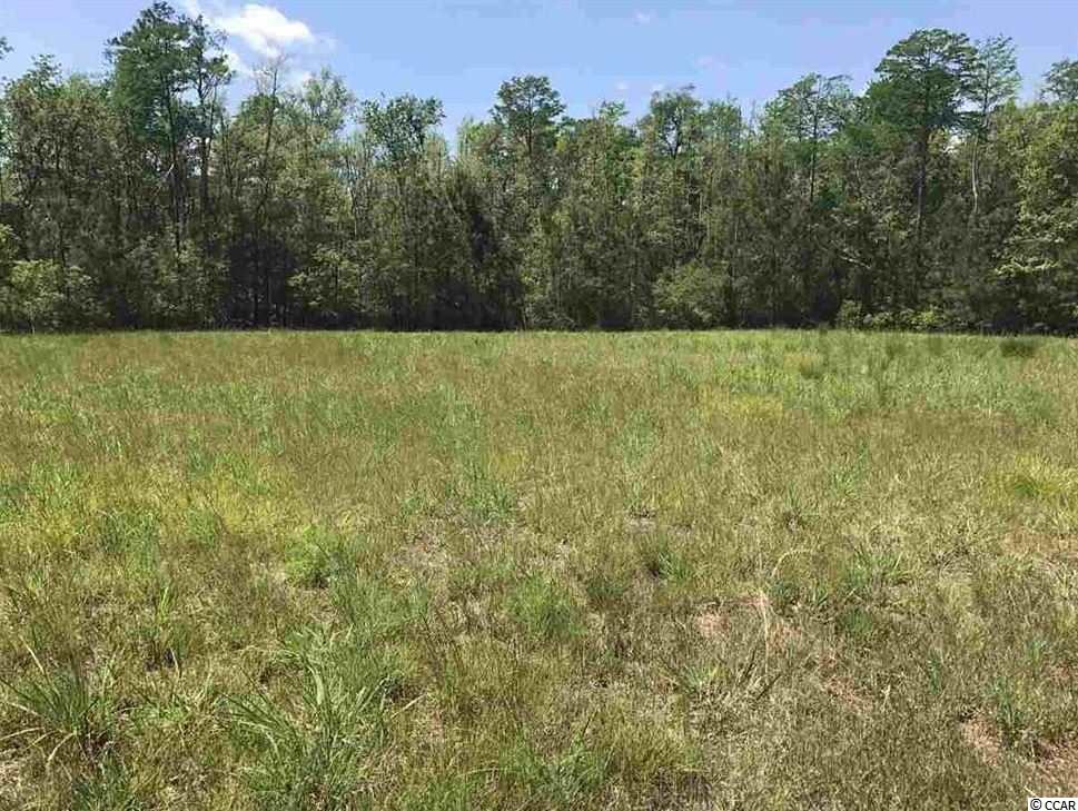8227 Orr Ln. Myrtle Beach, SC 29588