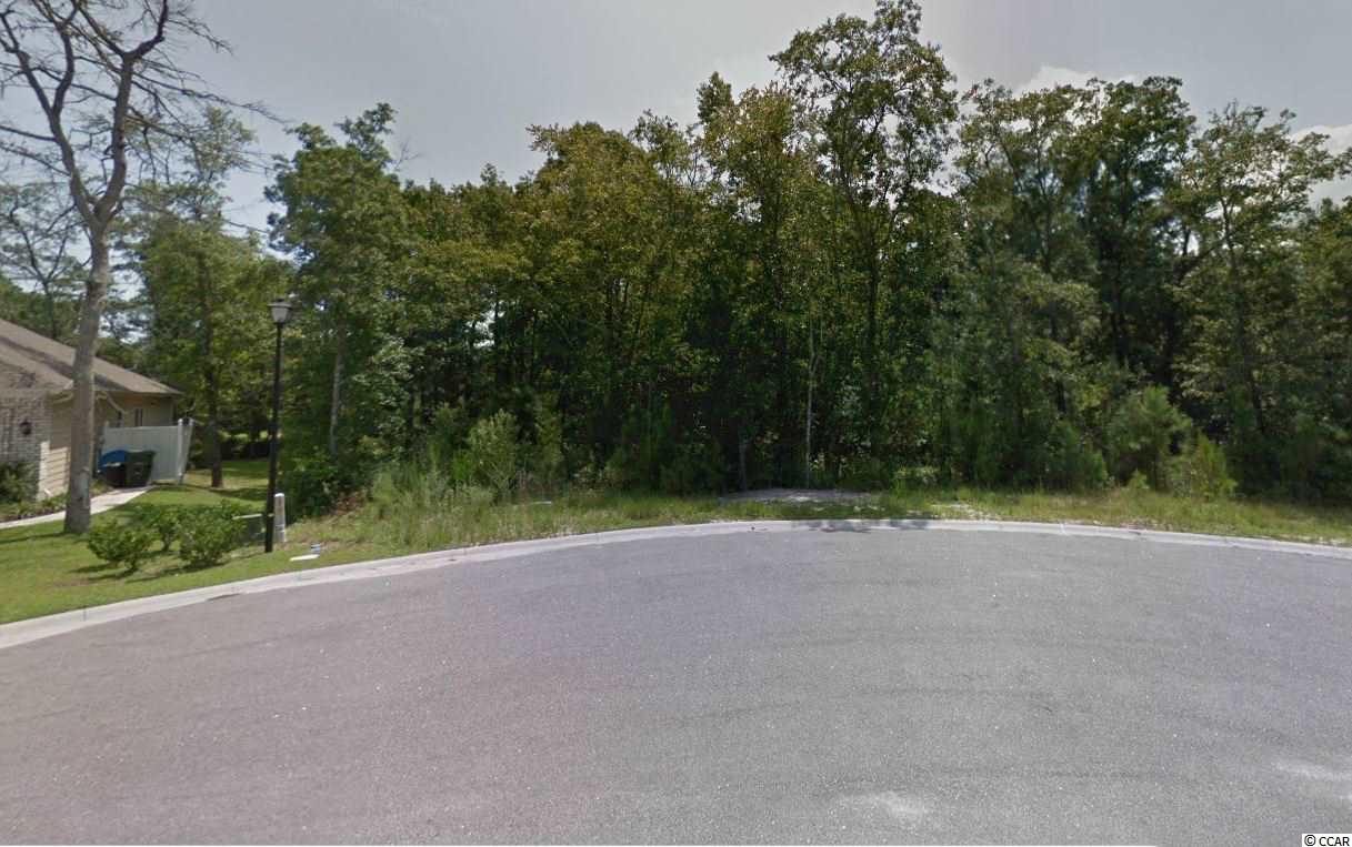 132 Swallowtail Ct. Little River, SC 29566