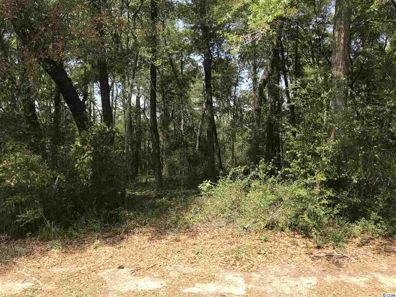 275 Old Cypress Circle Pawleys Island, SC 29585