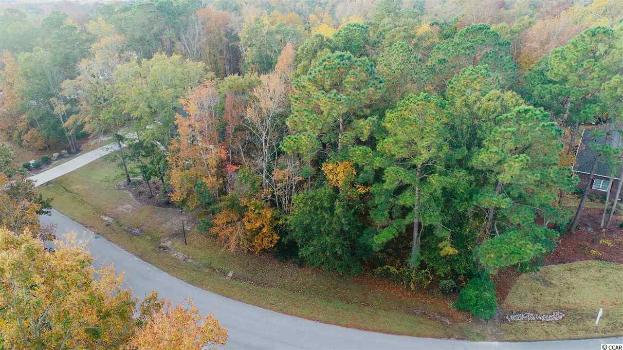 Lot 02 West Pelican Rd. Longs, SC 29568