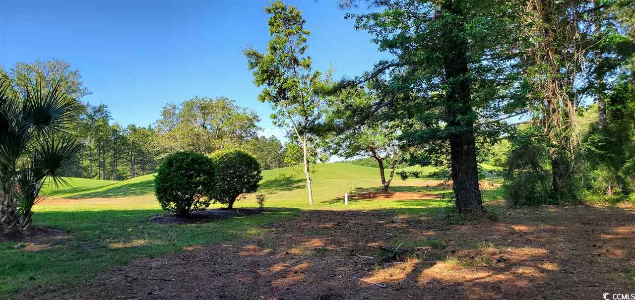 8941 Belle Verde Ct. Myrtle Beach, SC 29579