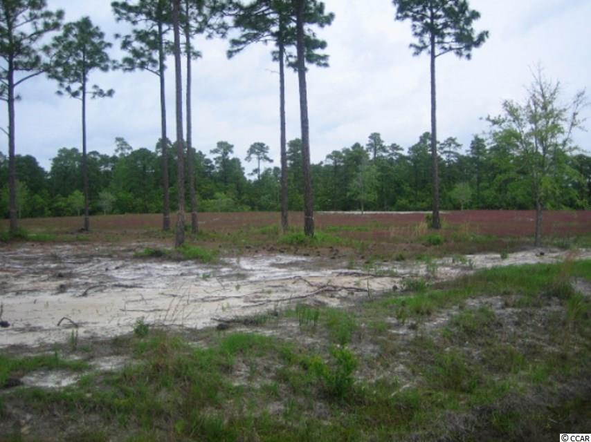 Redwolf Trail Myrtle Beach, SC 29572