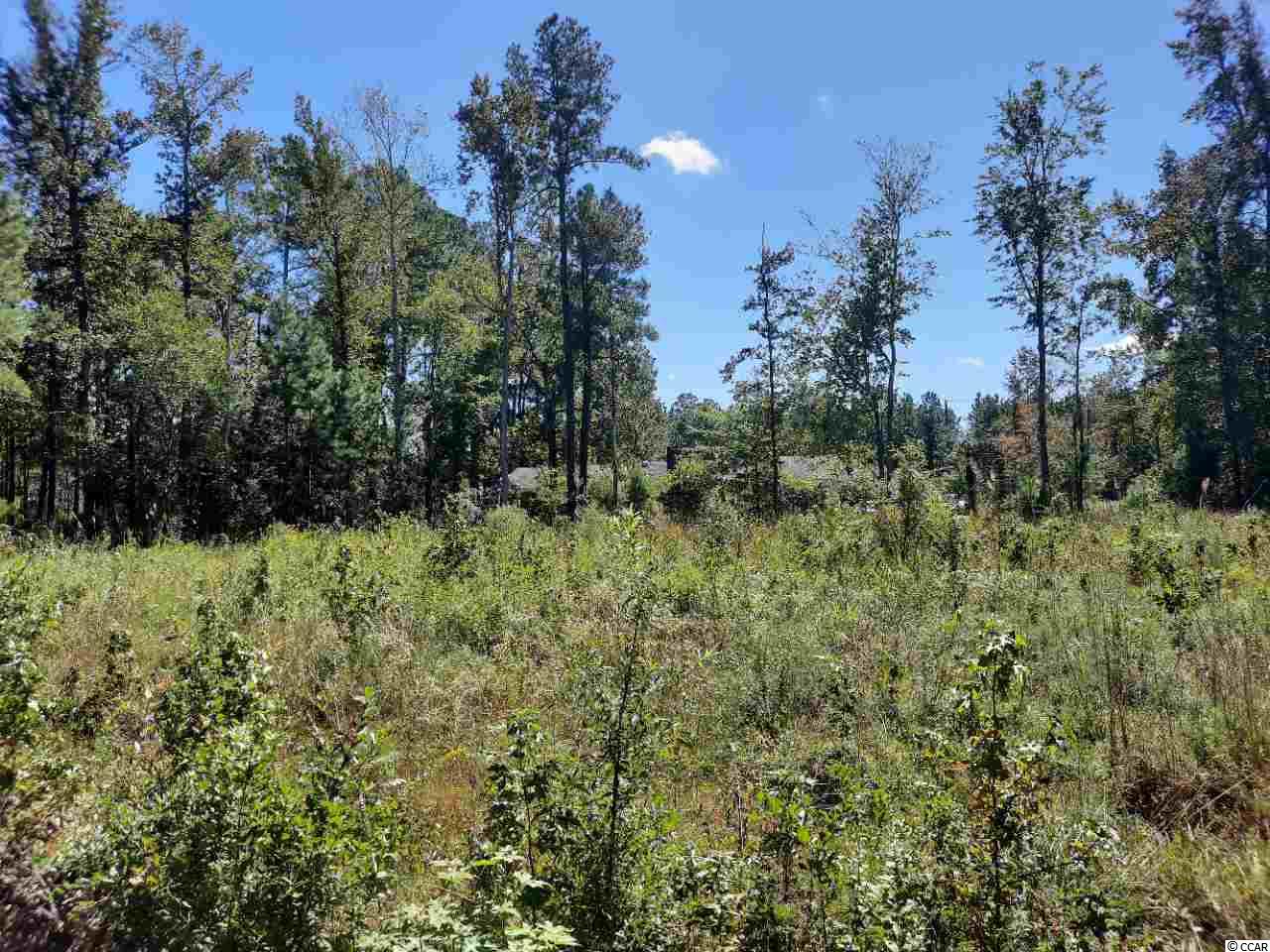 Lot 60 E Wisteria Dr., Hemingway, South Carolina image 2