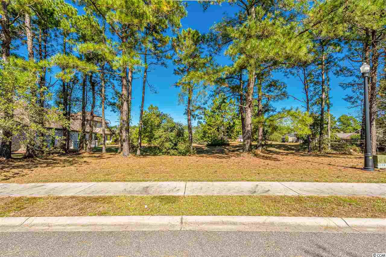 1221 Wood Stork Dr. Conway, SC 29526