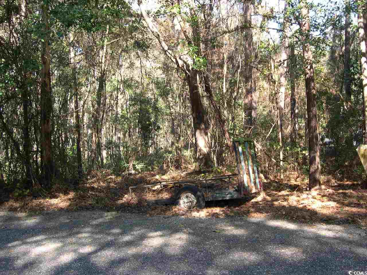 Summer Duck Cove Georgetown, SC 29440