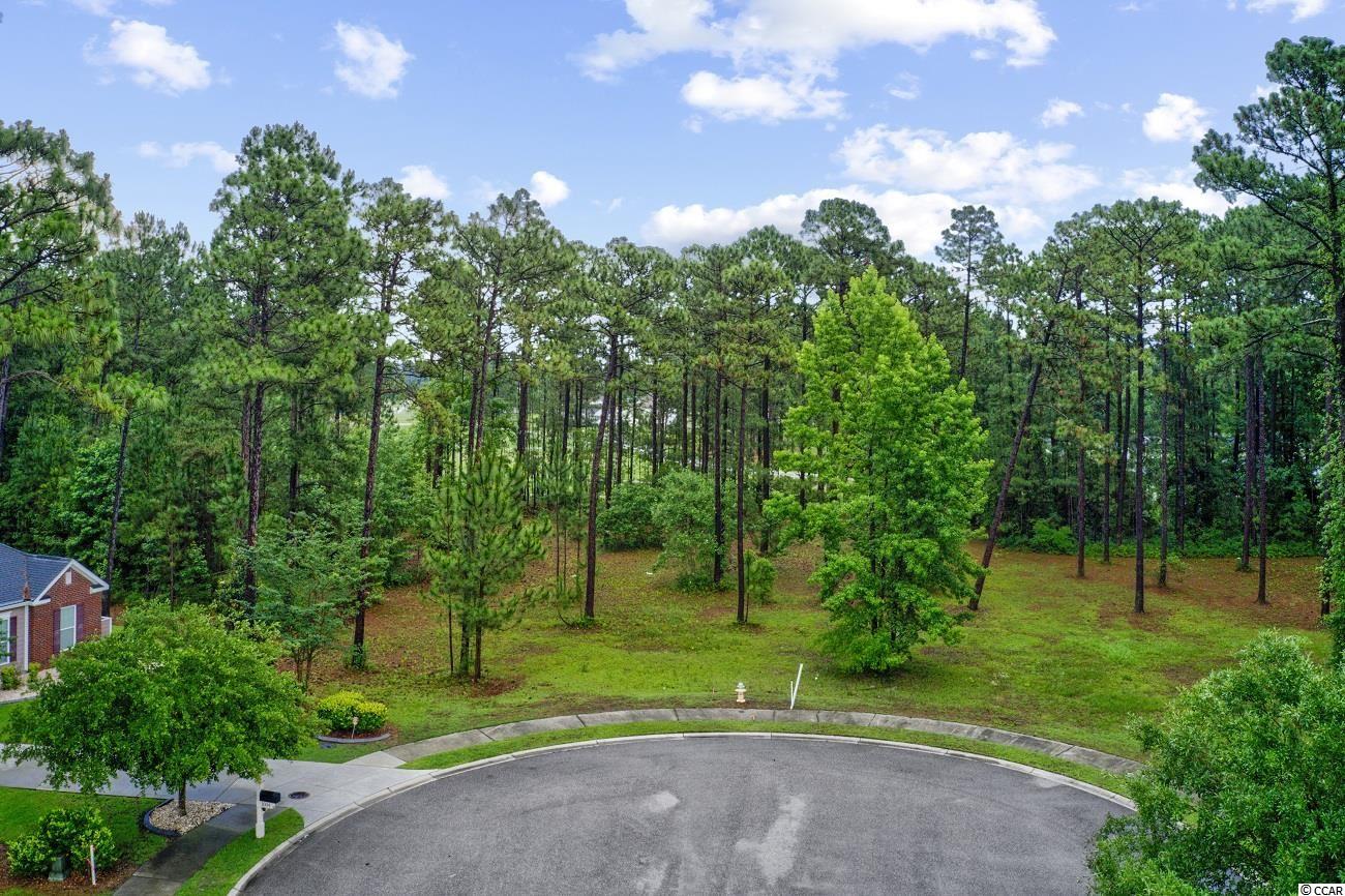 1000 Wigeon Dr. Conway, SC 29526