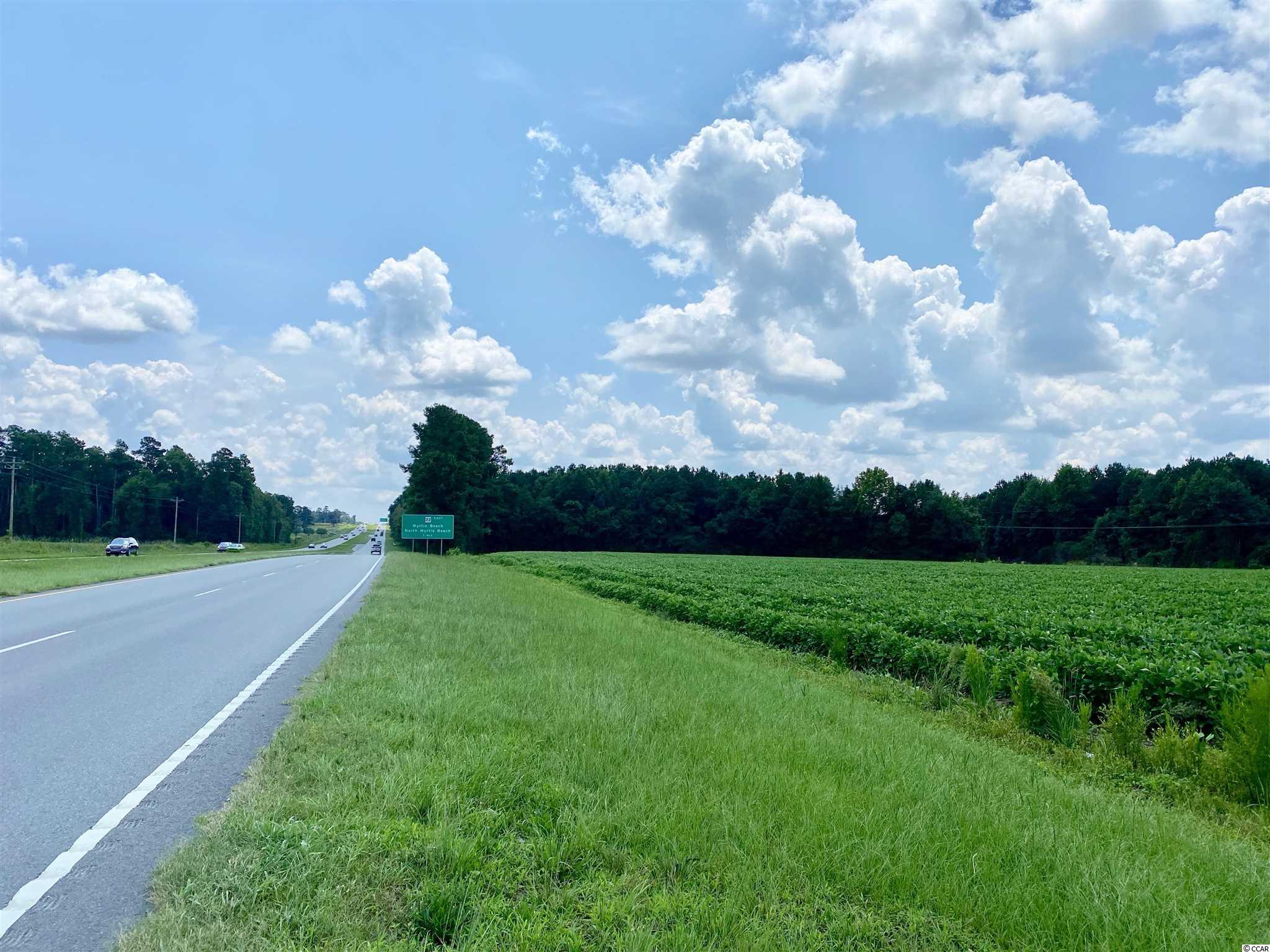 TBD Highway 501, Aynor, South Carolina image 18