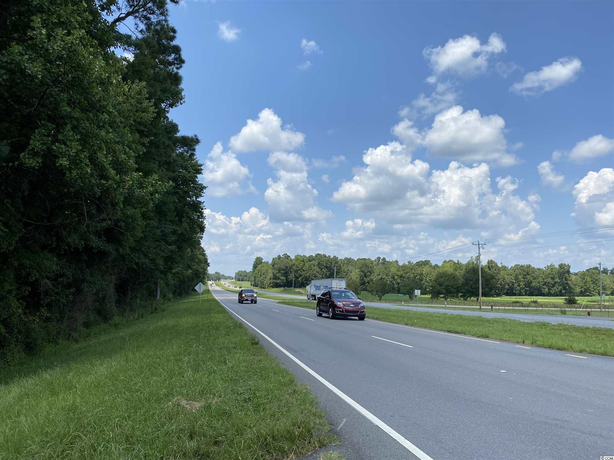 TBD Highway 501, Aynor, South Carolina image 29