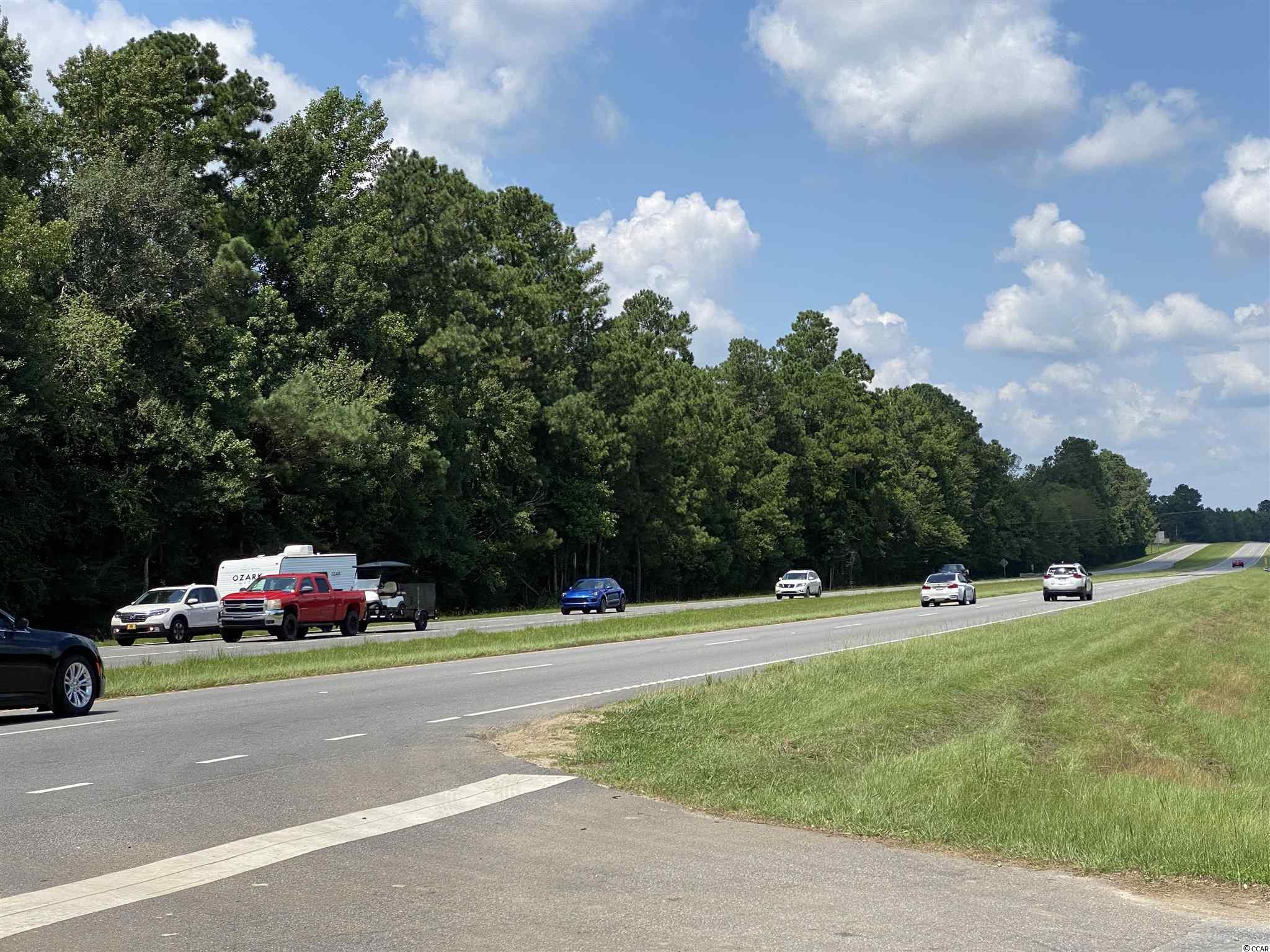 TBD Highway 501, Aynor, South Carolina image 8