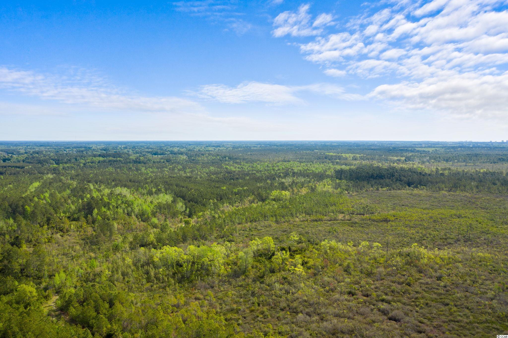 TBD Water Tower Rd., Longs, SC 29568