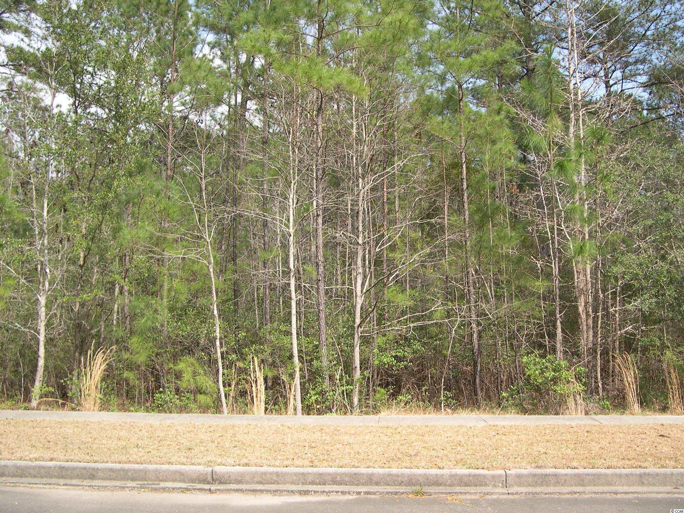 Lot 178 Bridge View Rd. Georgetown, SC 29440