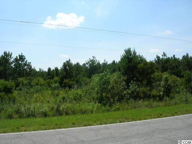 TRACT A Highway 9 Green Sea, SC 29545