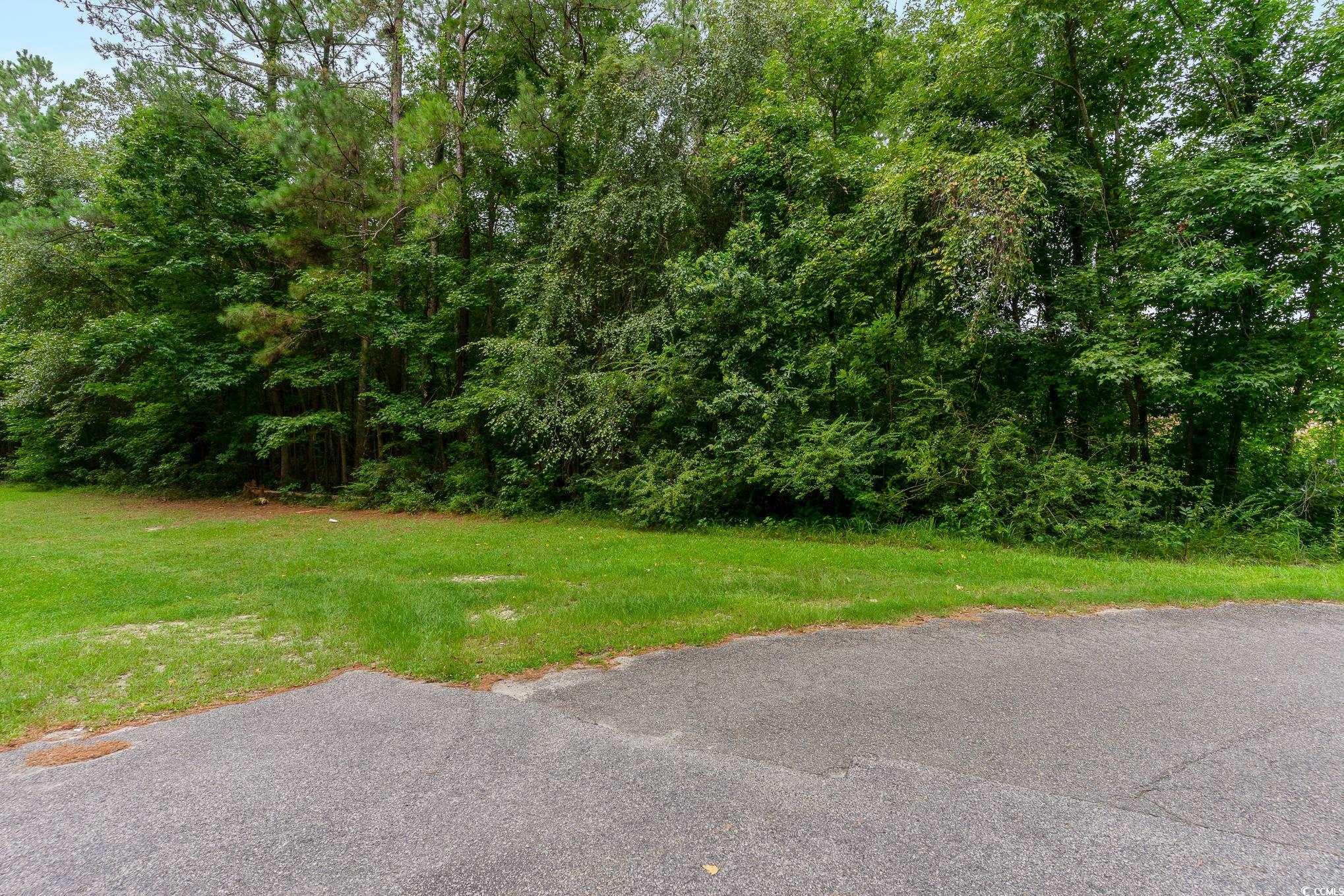 Lot 25 Wee Nee Dr. Kingstree, SC 29556