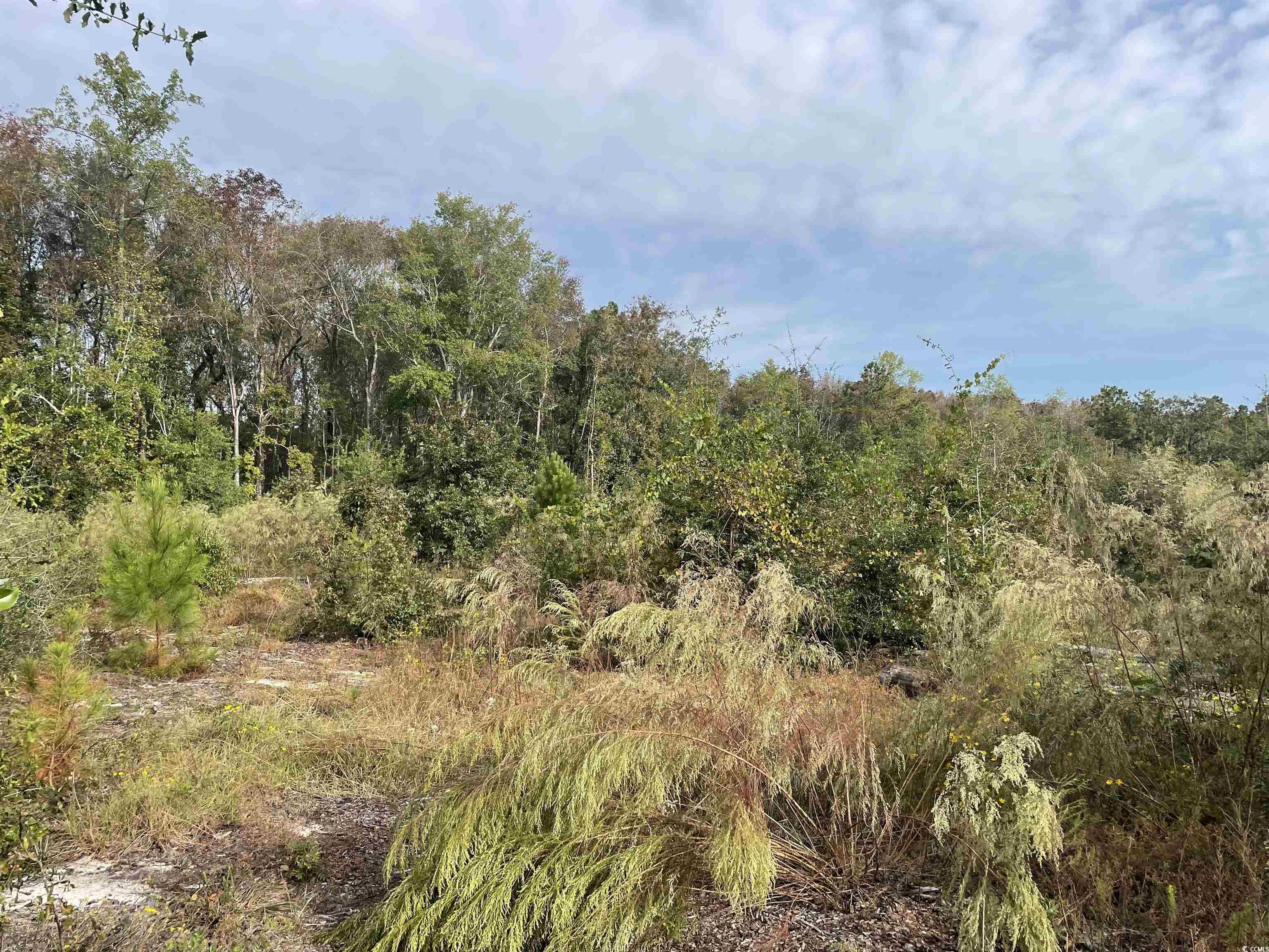 located just minutes from downtown historic georgetown, this 7.92 acres on whitehall ave. has many possibilities.  it is only 1/2 mile from the belle isle marina and yacht club, that includes access to winyah bay and the intracoastal waterway. additional acreage is available.