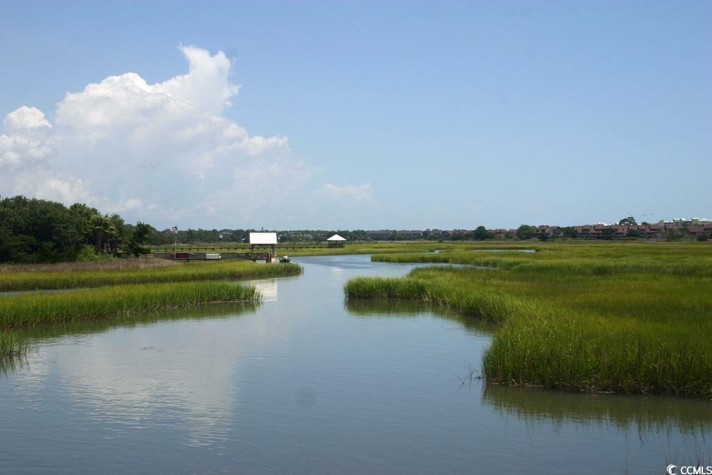 Salt Marsh Cove in Pawleys Island 2 Beds Residential 177,750 MLS