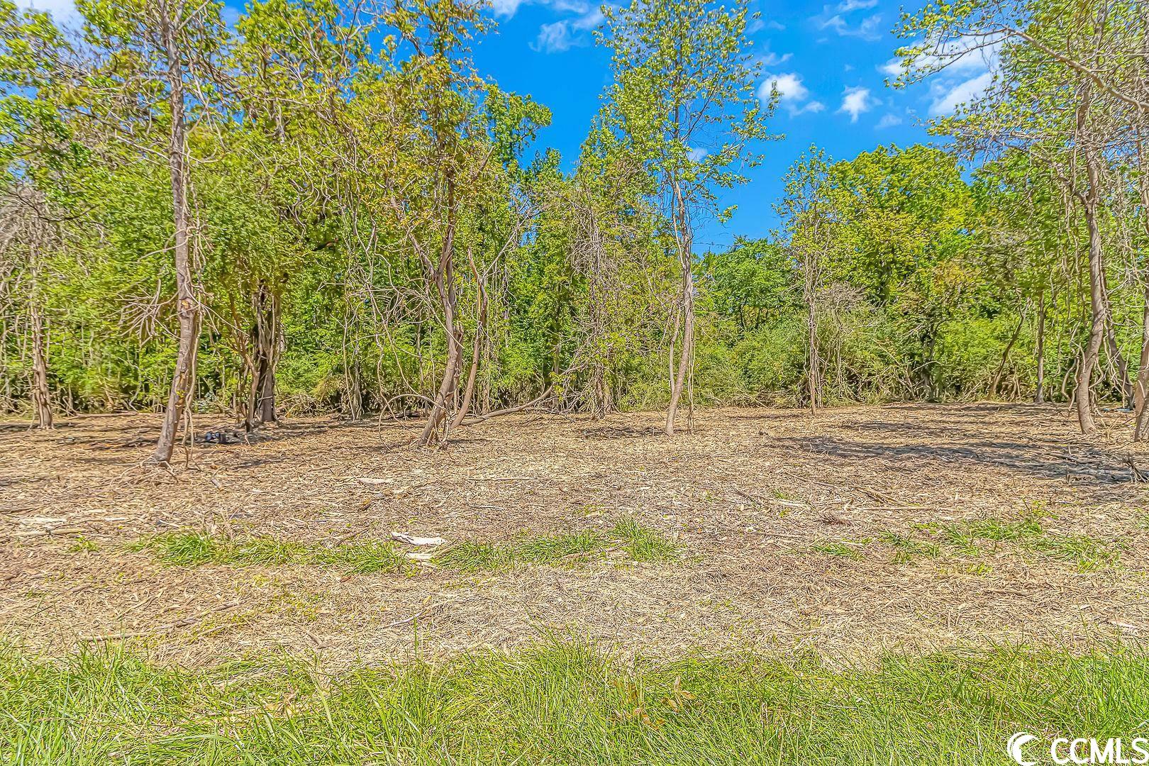 this is your chance to own over 4.5 acres in the country! beautiful lot with mature trees and no hoa.  the quiet life awaits you on tranquil road!