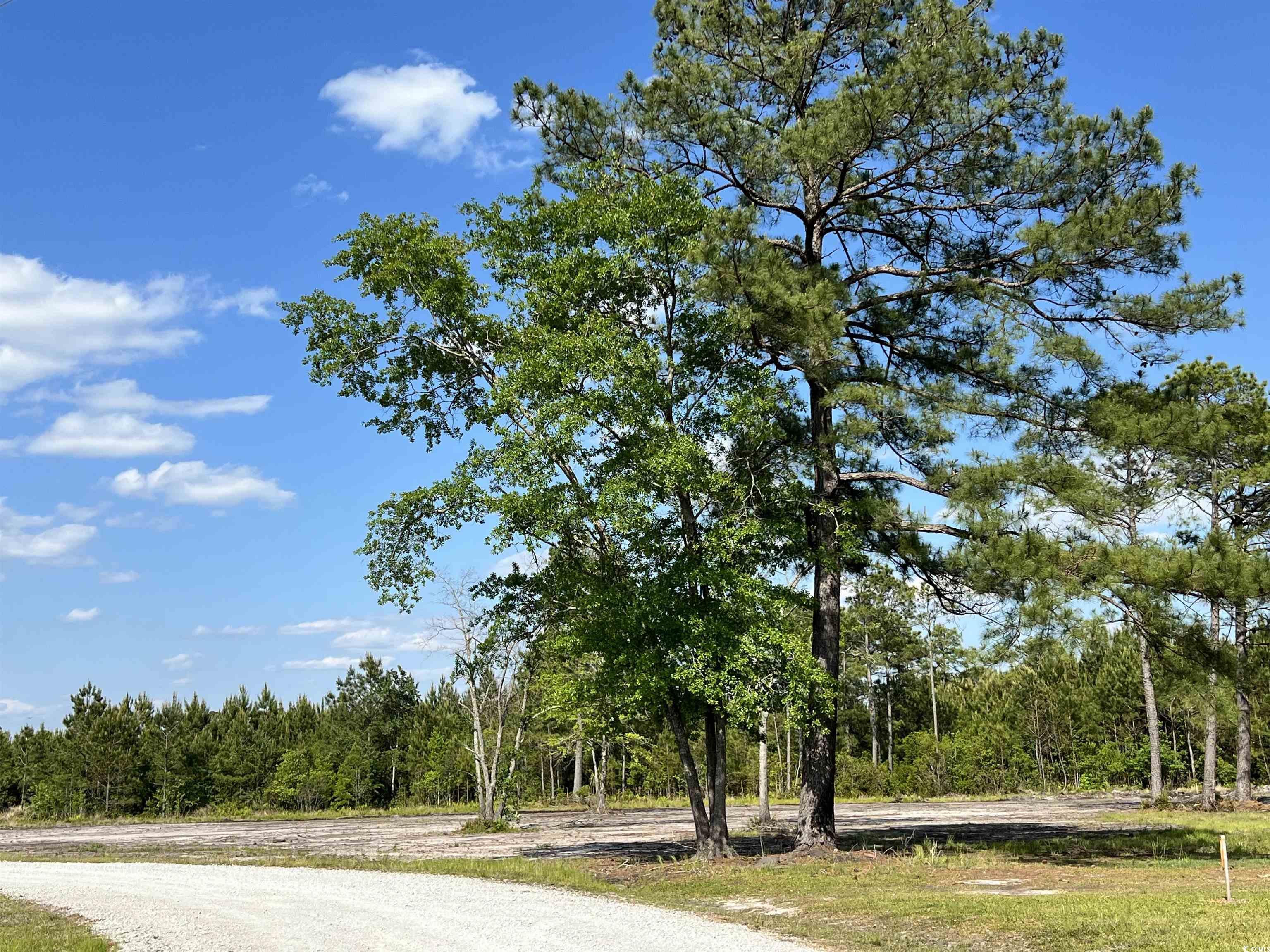 TBD 6 Woodrow Ln. Loris, SC 29569