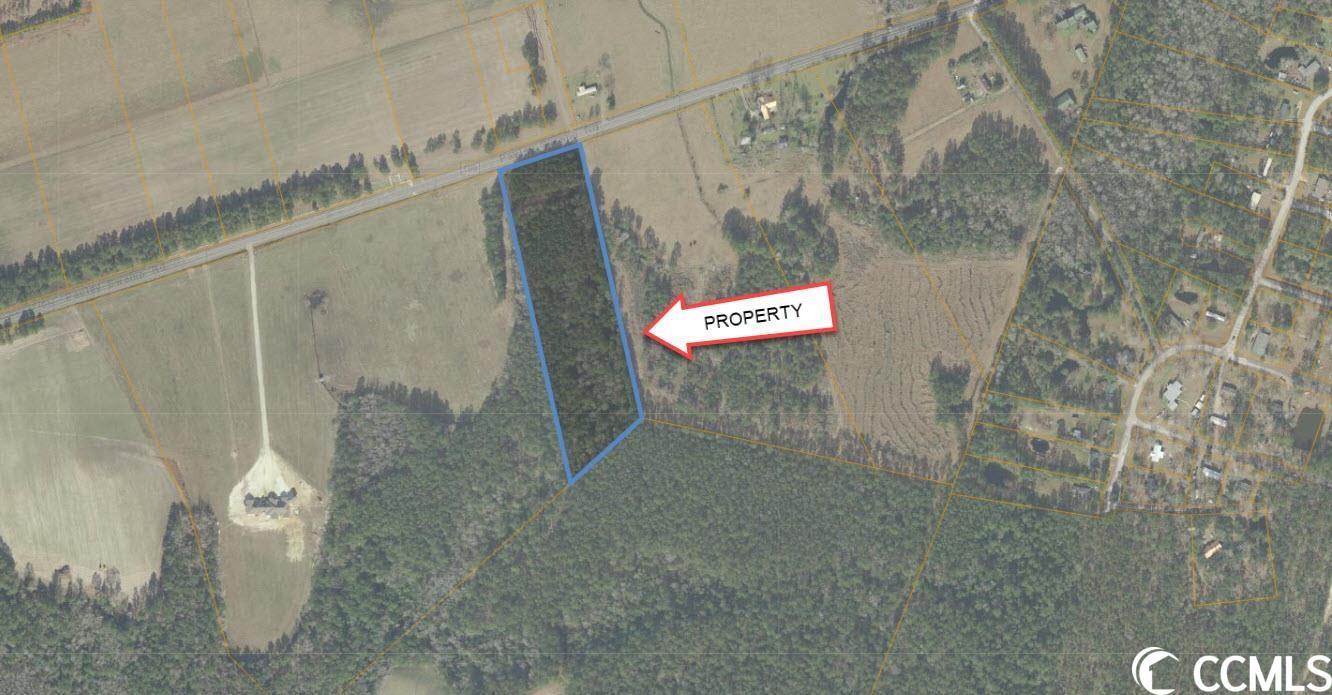 TBD Pauley Swamp Rd. Conway, SC 29527