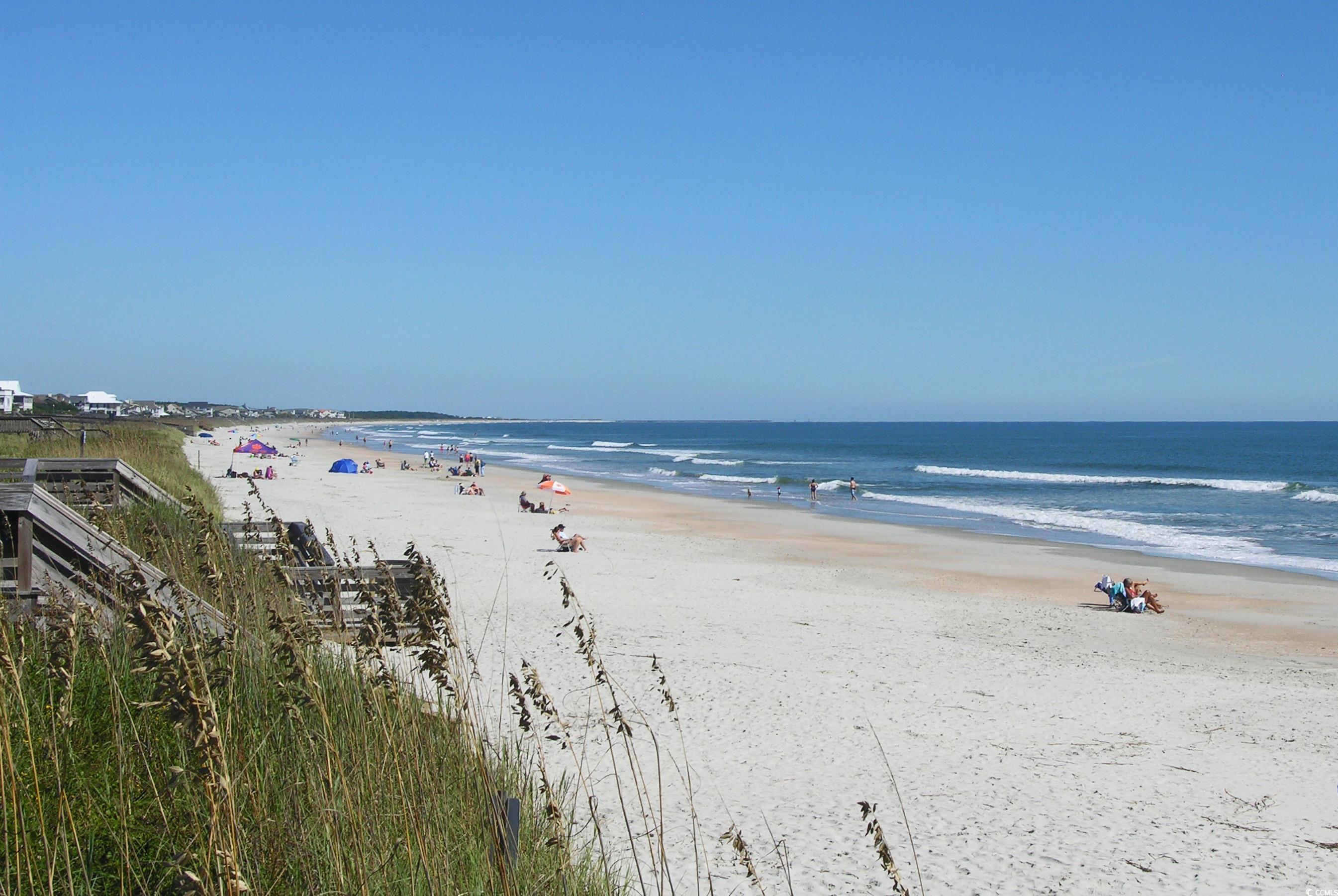 164 Cockle Shell Ct., Pawleys Island, South Carolina image 40