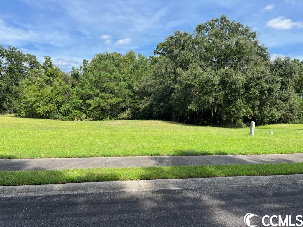 Lot 109 Rosebank Rd. Georgetown, SC 29440