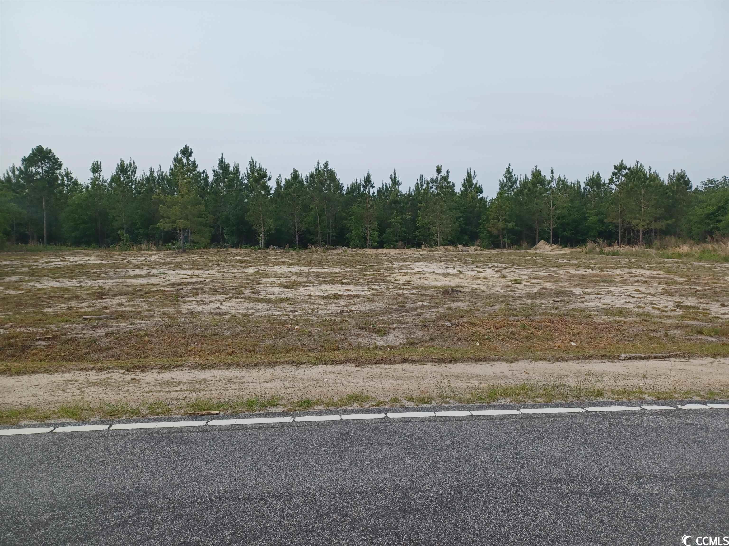 lot 13 Harper Rd. Marion, SC 29571