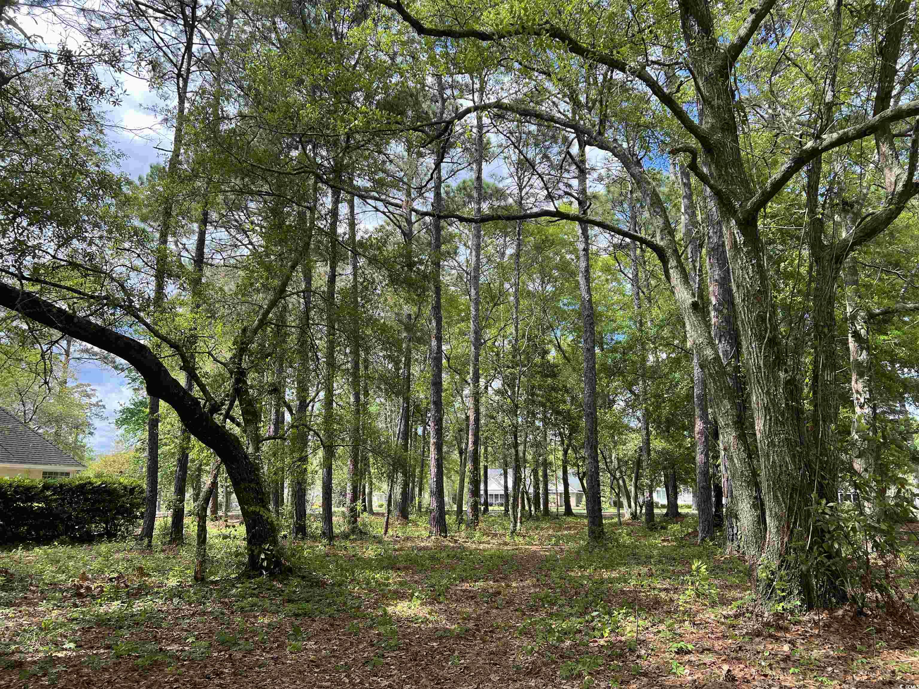 Lot 34 Georgetown Dr. Pawleys Island, SC 29585