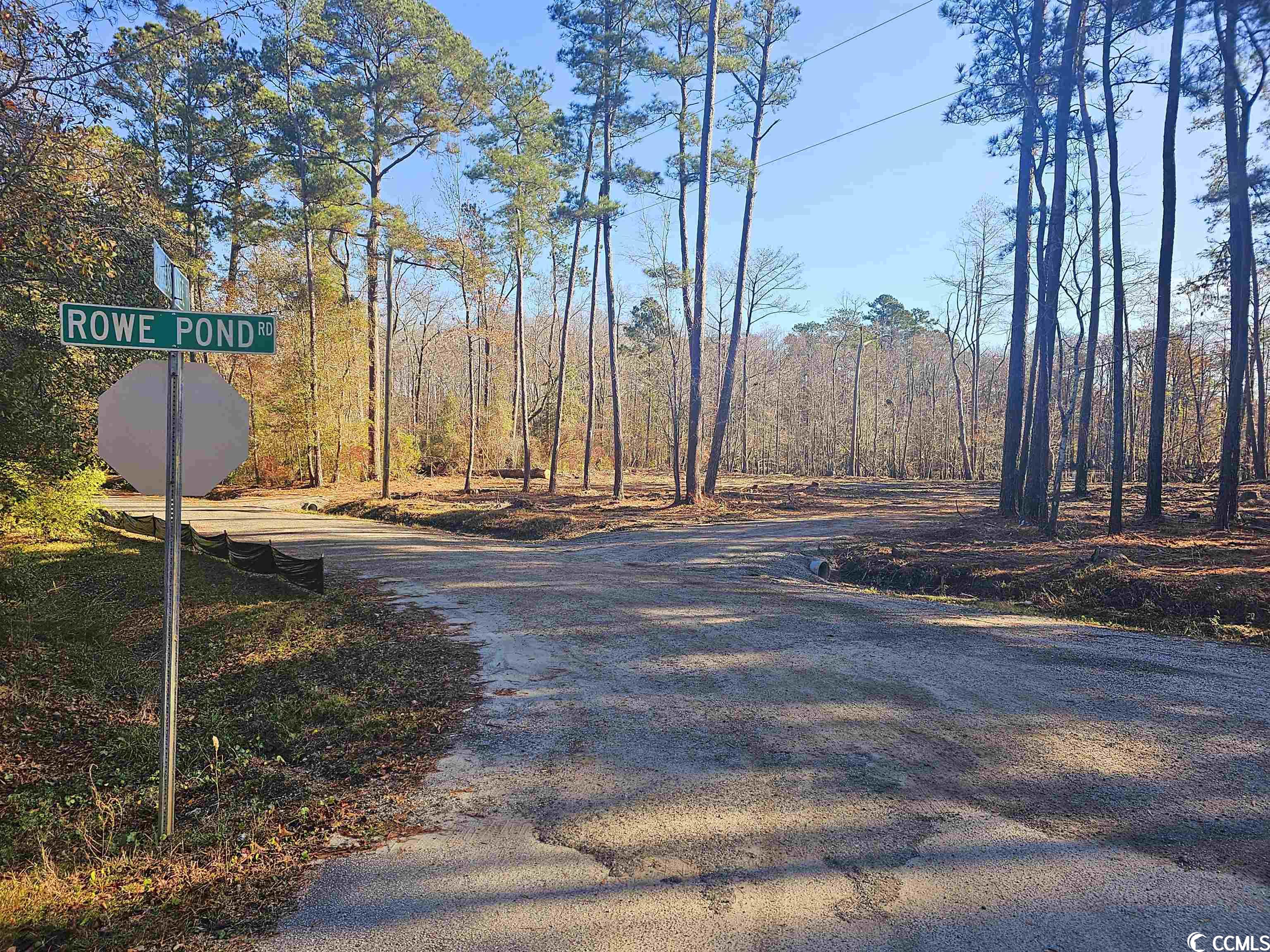 Lot 17 Rowe Pond Dr. Conway, SC 29526