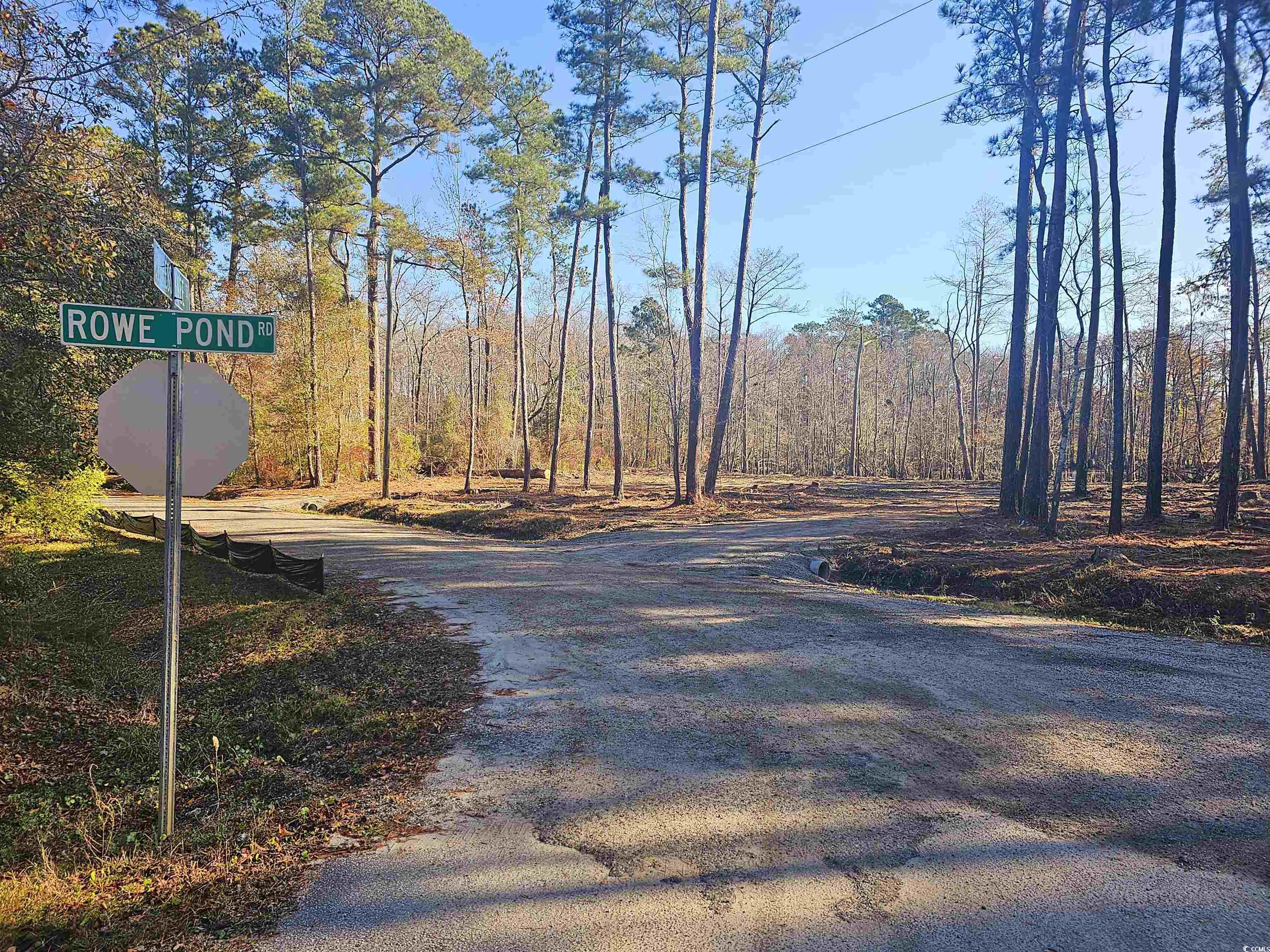Lot 17 Rowe Pond Dr., Conway, SC 29526