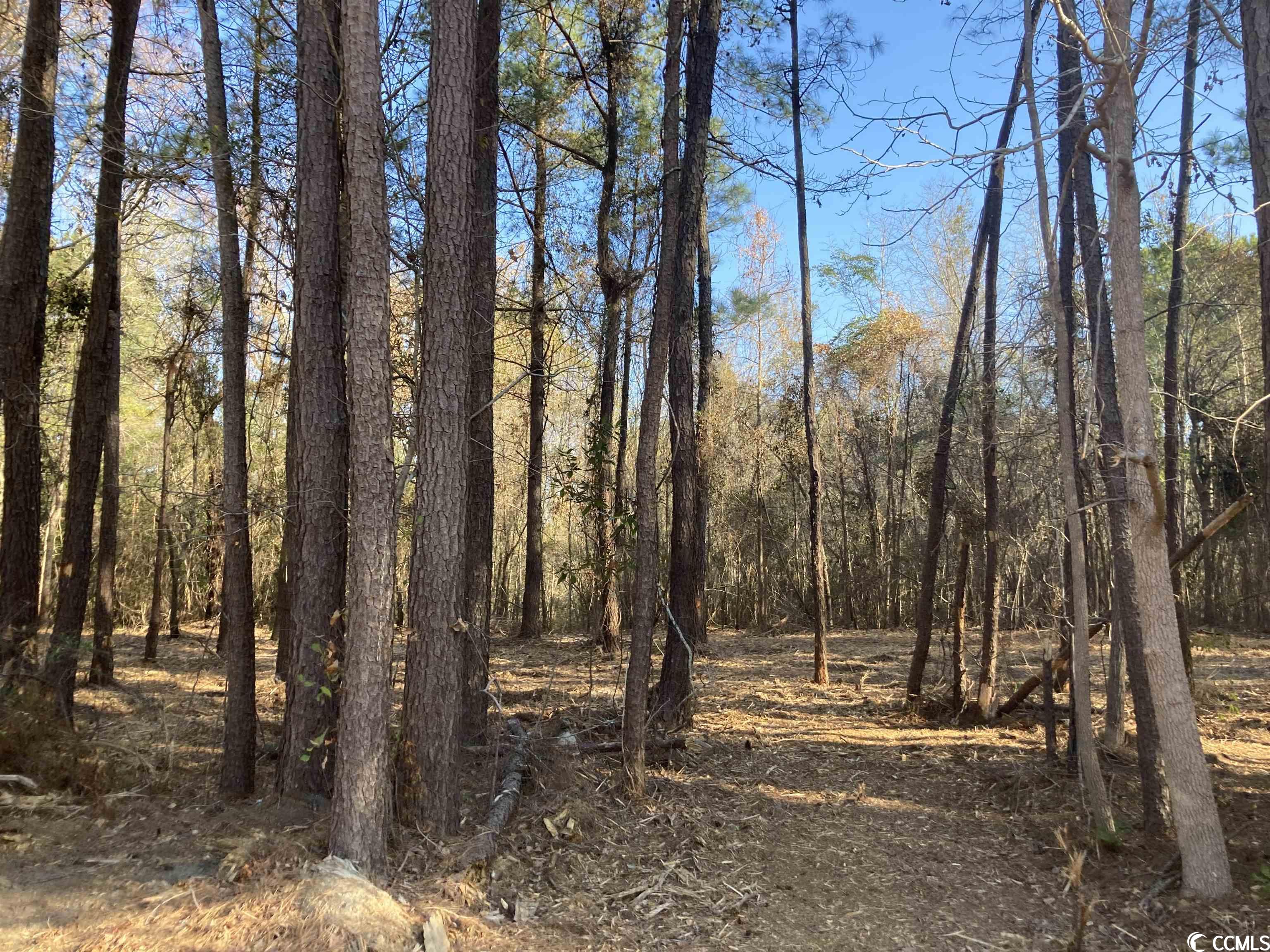 Lot 8 Valley Forge Rd. Aynor, SC 29511