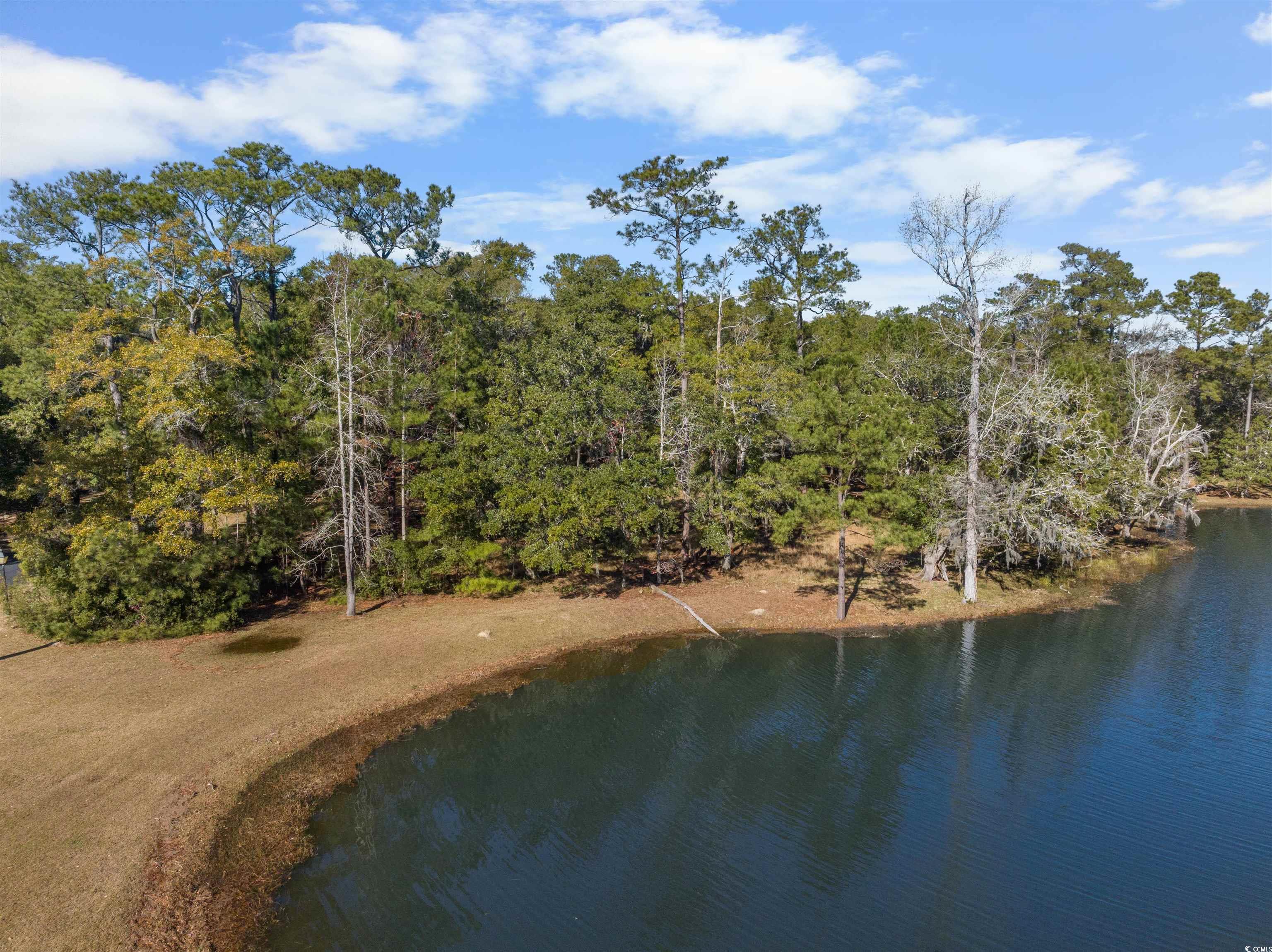 64 Pipedown Landing Dr. Pawleys Island, SC 29585