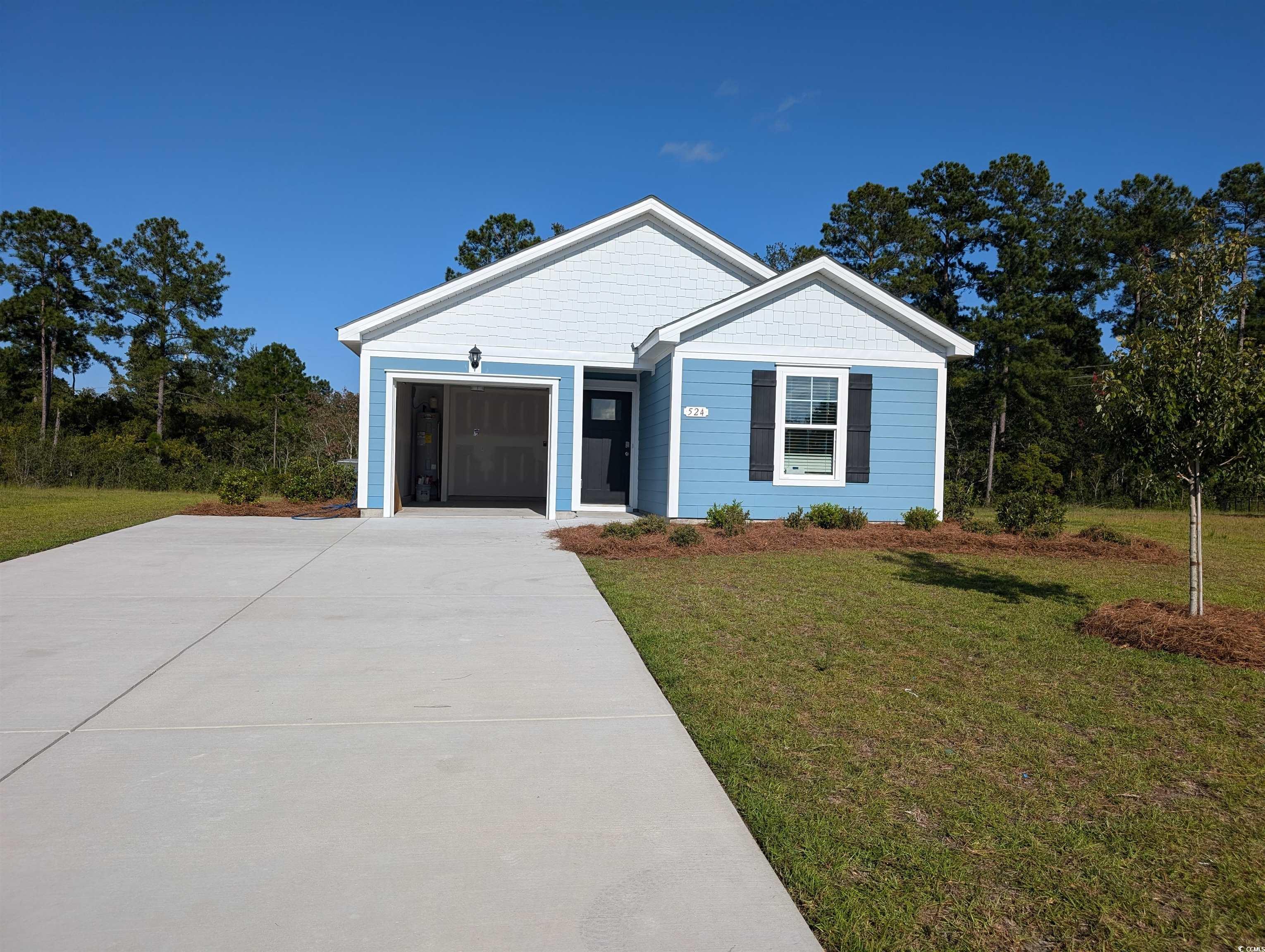 524 Gummy Bear Ct. Conway, SC 29526