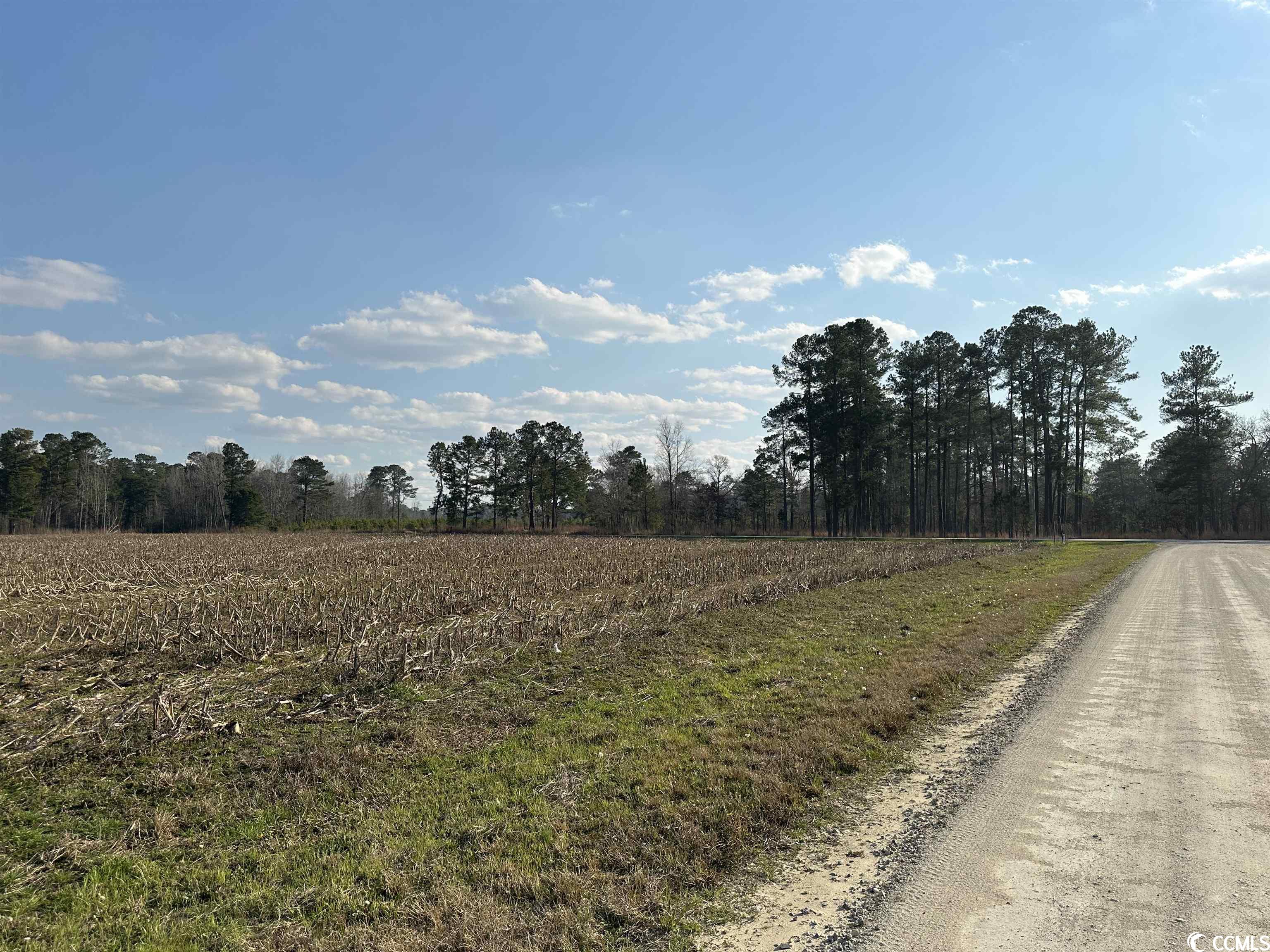 LOT 39 Gulley Ln. Salters, SC 29590