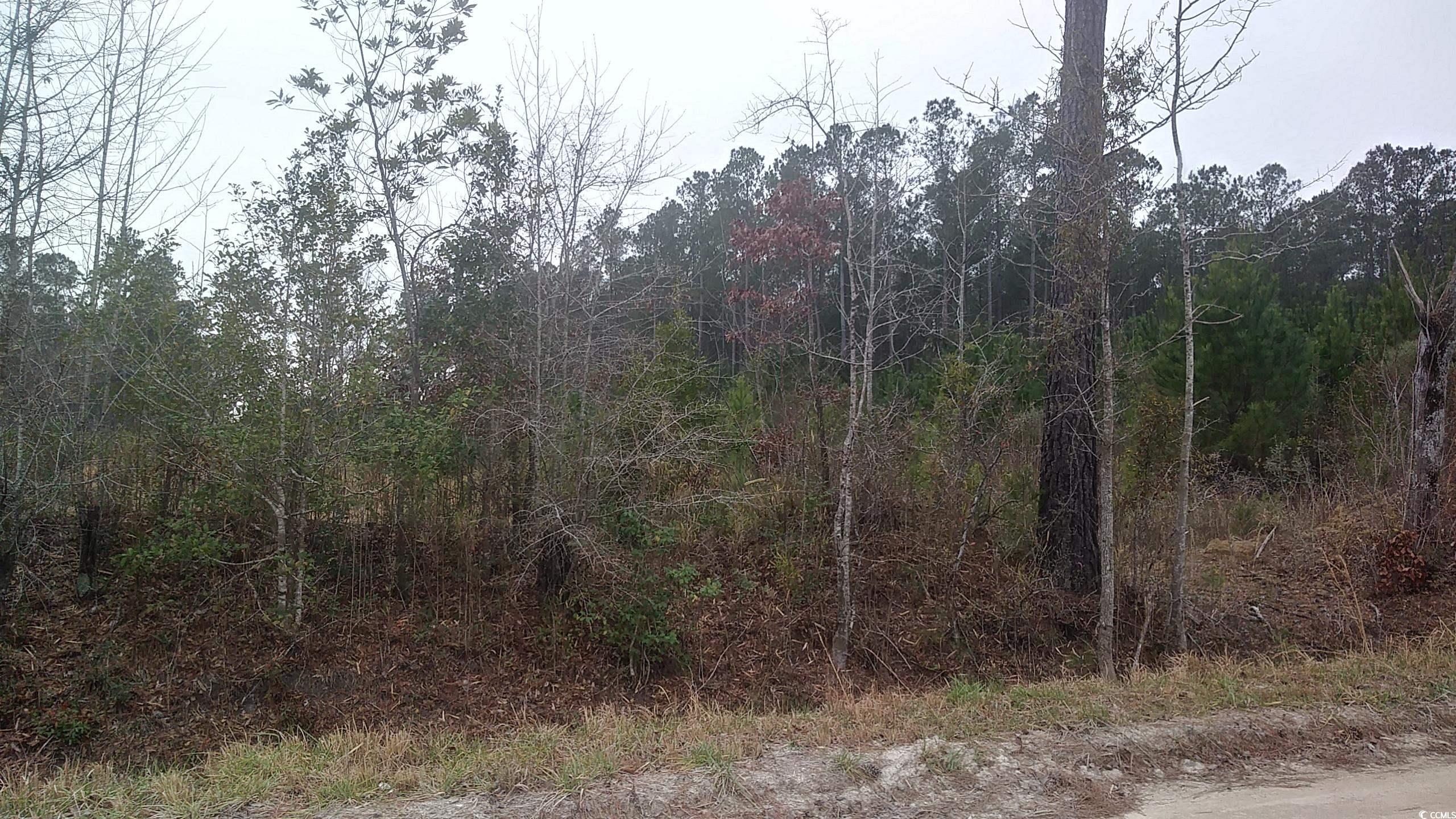 TBD Old Forest Dr. Loris, SC 29569