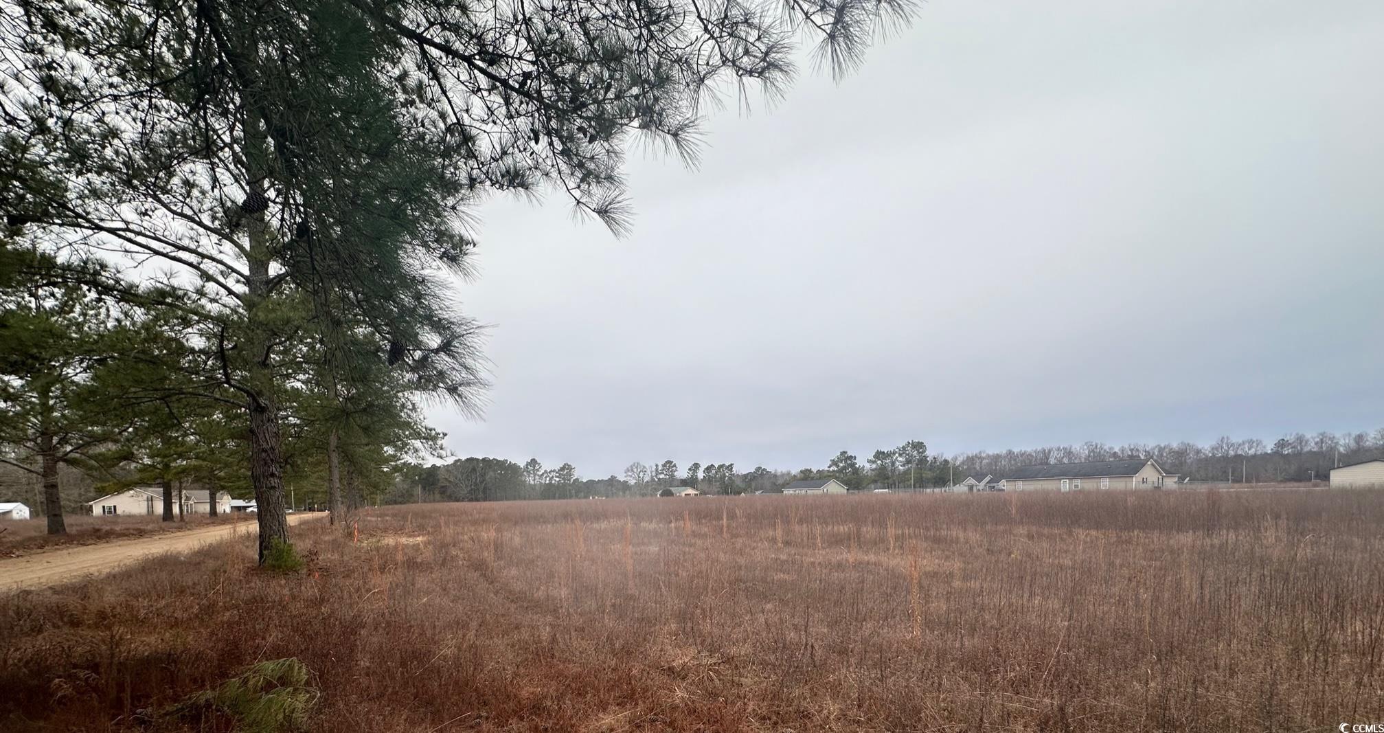 Lot B Lexyryan Ct., Latta, SC 29565