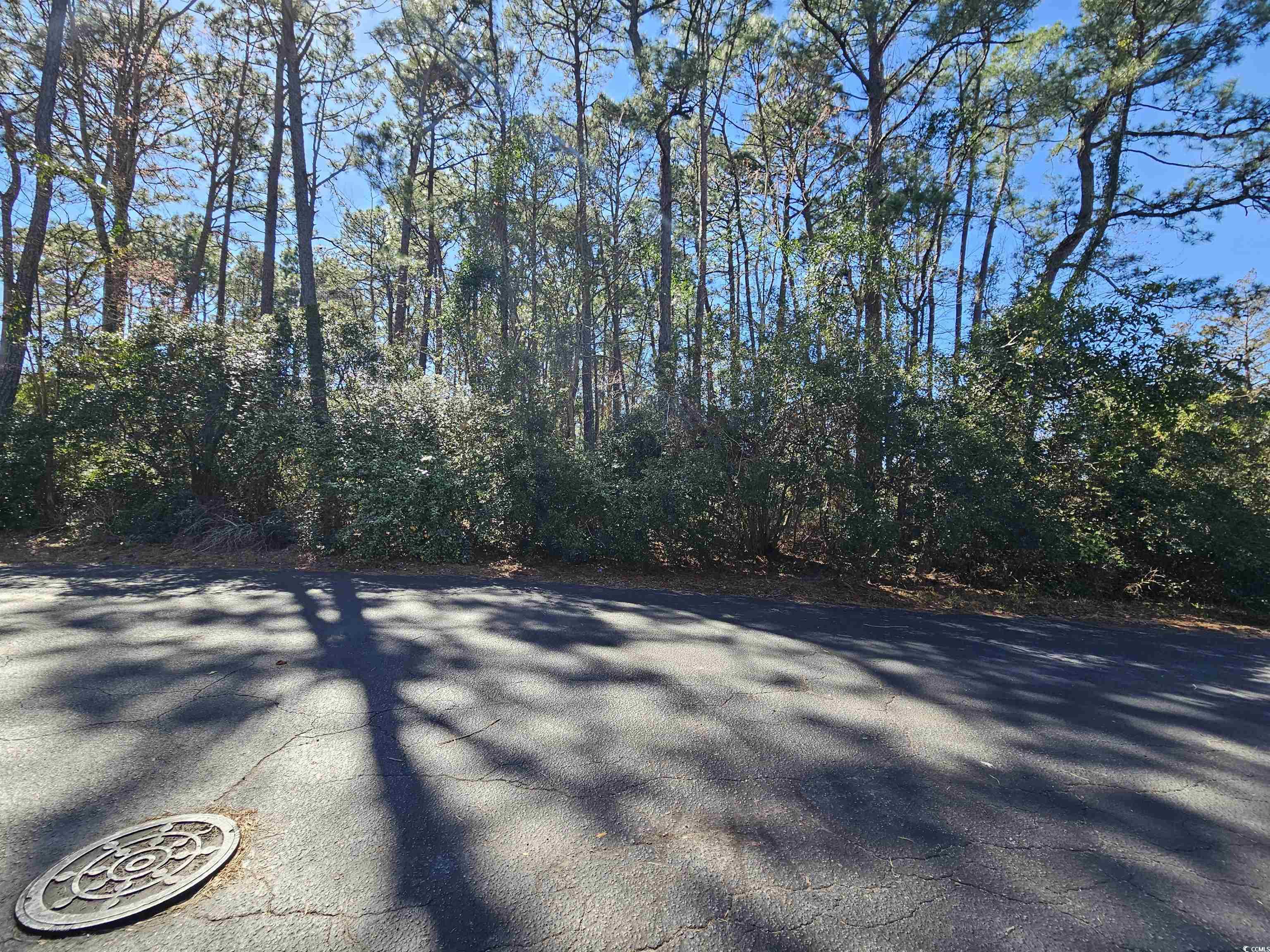 come build your dream home on this almost half acre lot in deerfield! large lot on a quiet cul de sac and a golf cart ride to the beach. loon ct is off of a dead end street so great quiet and private location.