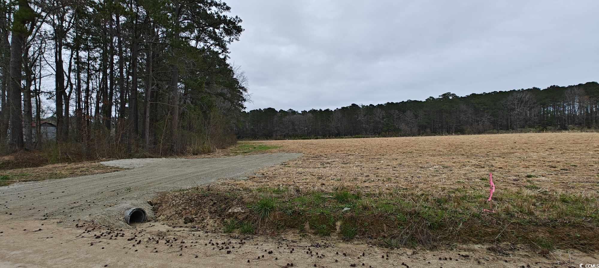 Lot 10 Jewel Ln. Conway, SC 29527