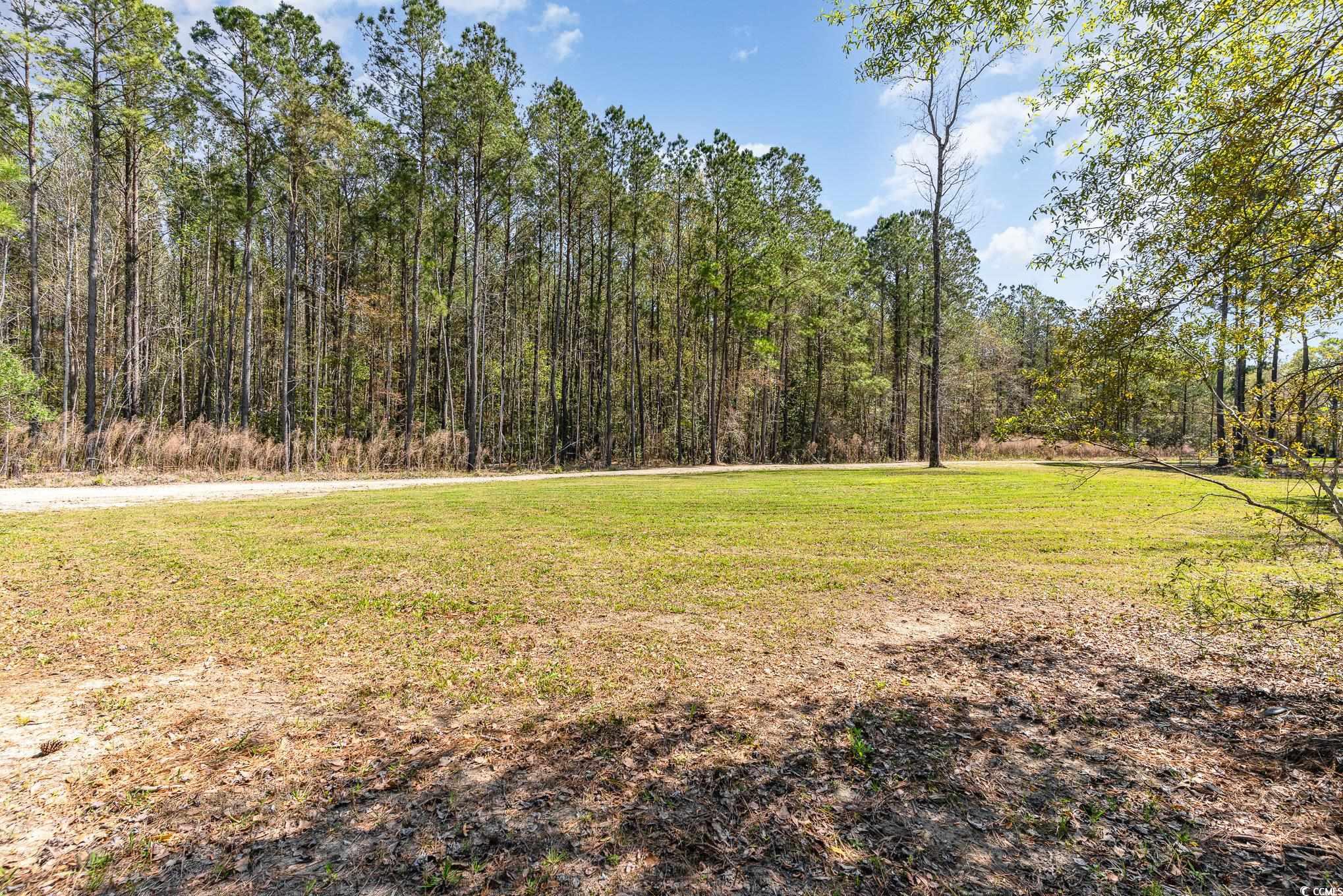TBD Flossie Rd. Conway, SC 29526