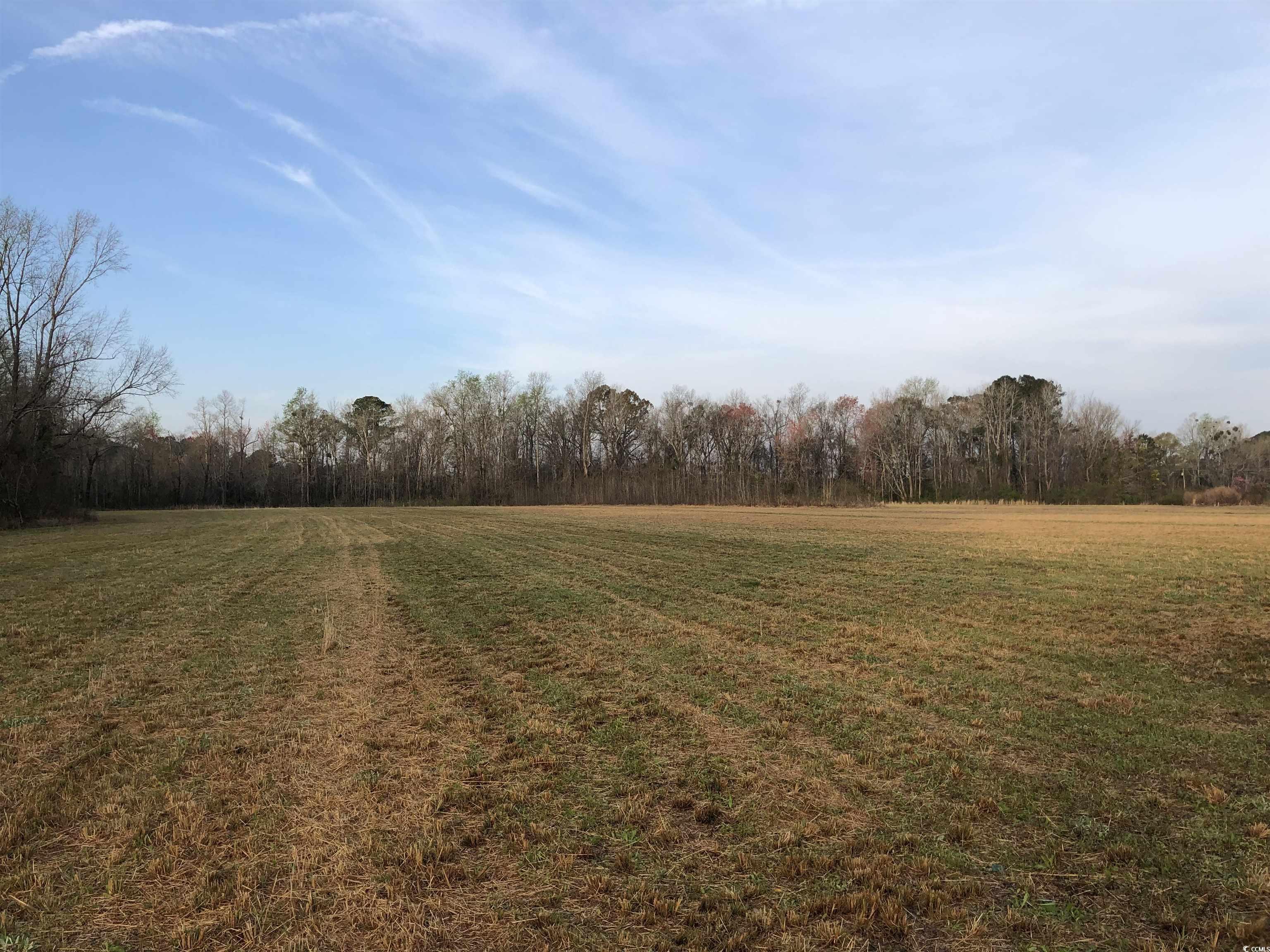 TBD Midway Hwy., Johnsonville, SC 29555