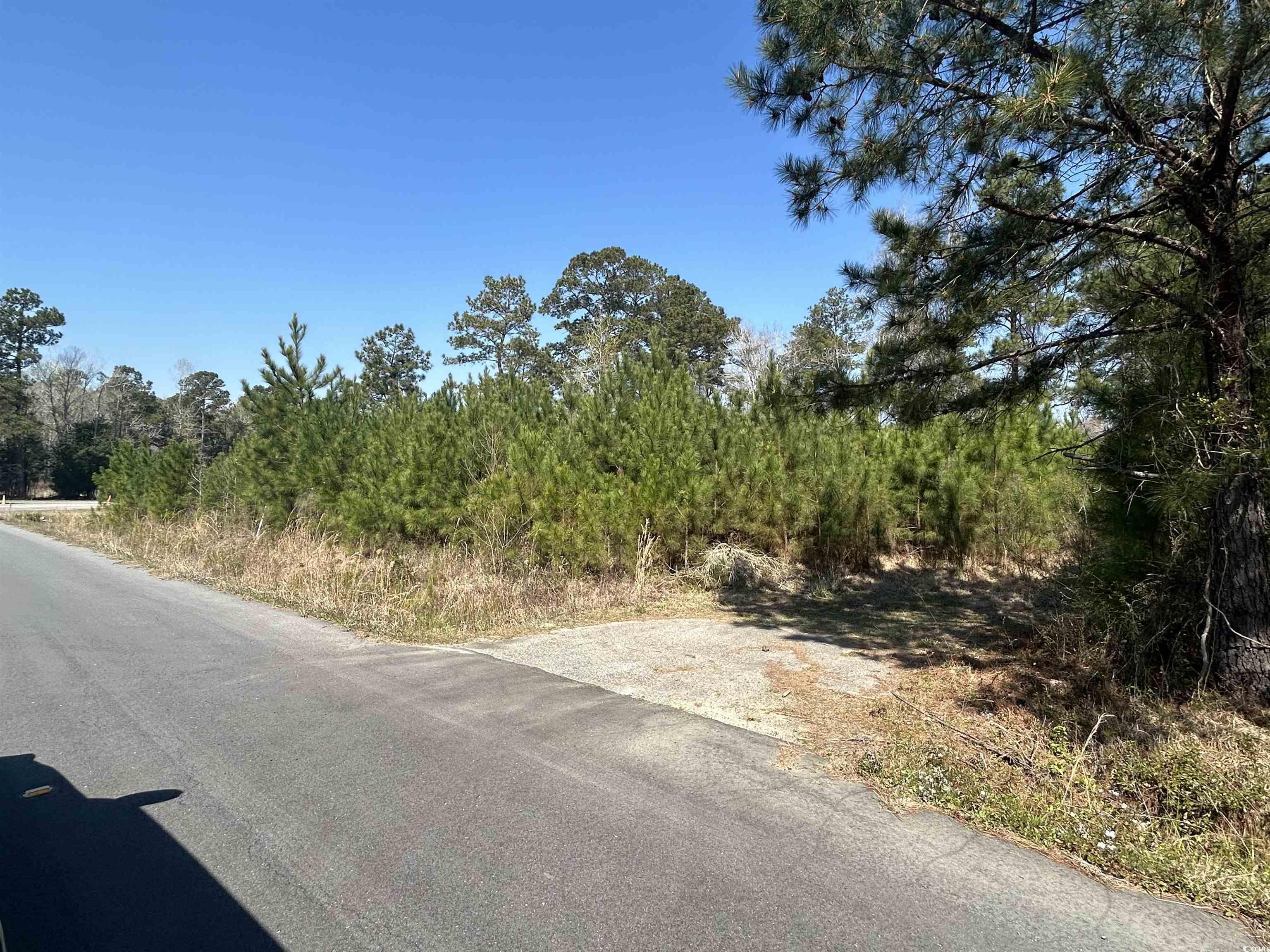 TBD Juniper Pl., Georgetown, SC 29440