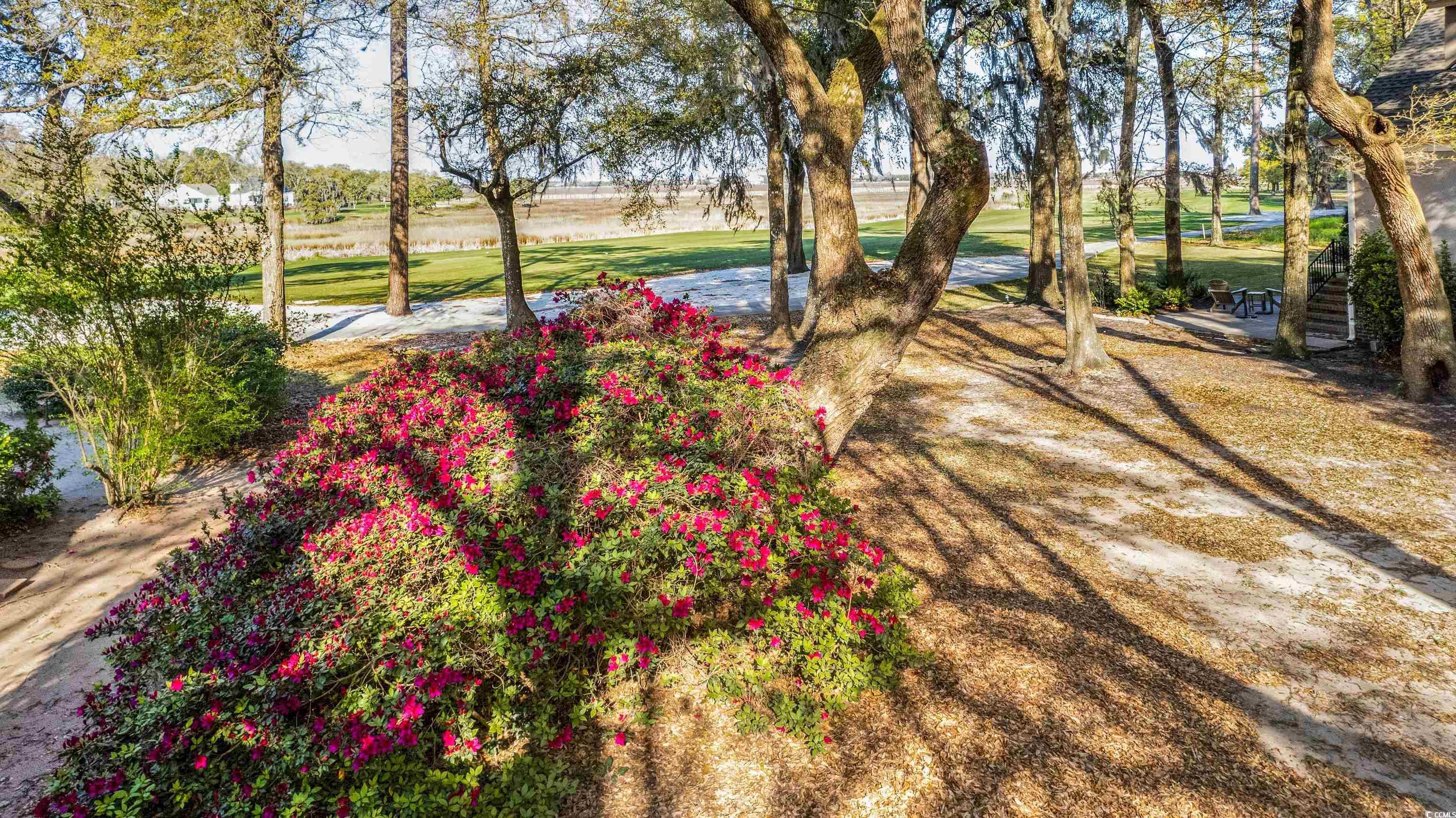 Lot 46 Widgeon Dr. Pawleys Island, SC 29585