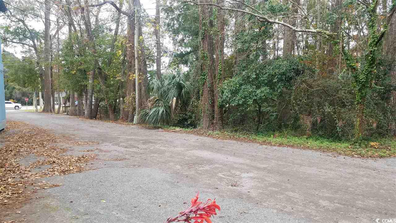 rare chance for a commercial lot in pawleys island. nearly half an acre, this wooded lot is right in the middle of all the action. located on a quiet street off hwy 17 with great road frontage. adjacent property uses include restaurants, stores, and many more. this zoning code lends itself to many uses for this lot. would make for an ideal live/work setup for a professional office. bring you rv and hook up for a budget friendly place close to the beach and, next to all the action of pawleys island. there is a water easement from hwy 17 for connection to this lot. short walk to the beach from this location. there are not too many lots like this one left in the pawleys island area.