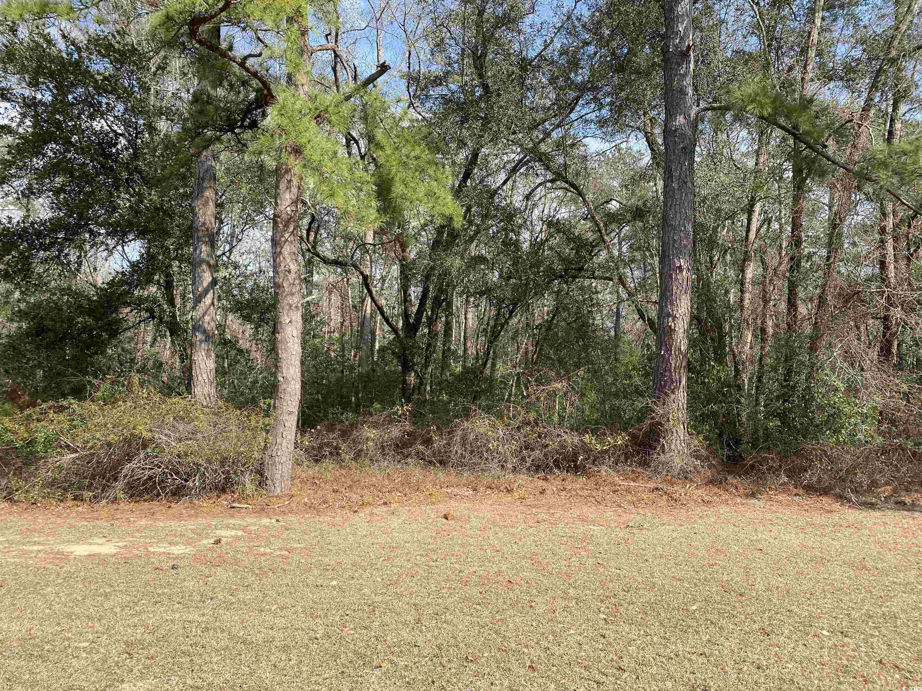 0.72 acres in beautiful heritage preserve. come build your dream home and choose your own builder and build whenever you want to. minutes from hwy 22 & 31, conway and international drive that will take to into myrtle beach. now you can live on hwy 90 and work in myrtle beach with the international drive access.