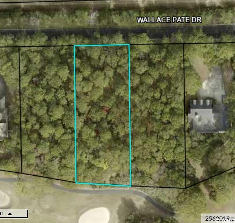 Lot 320 Wallace Pate Dr. Georgetown, SC 29440