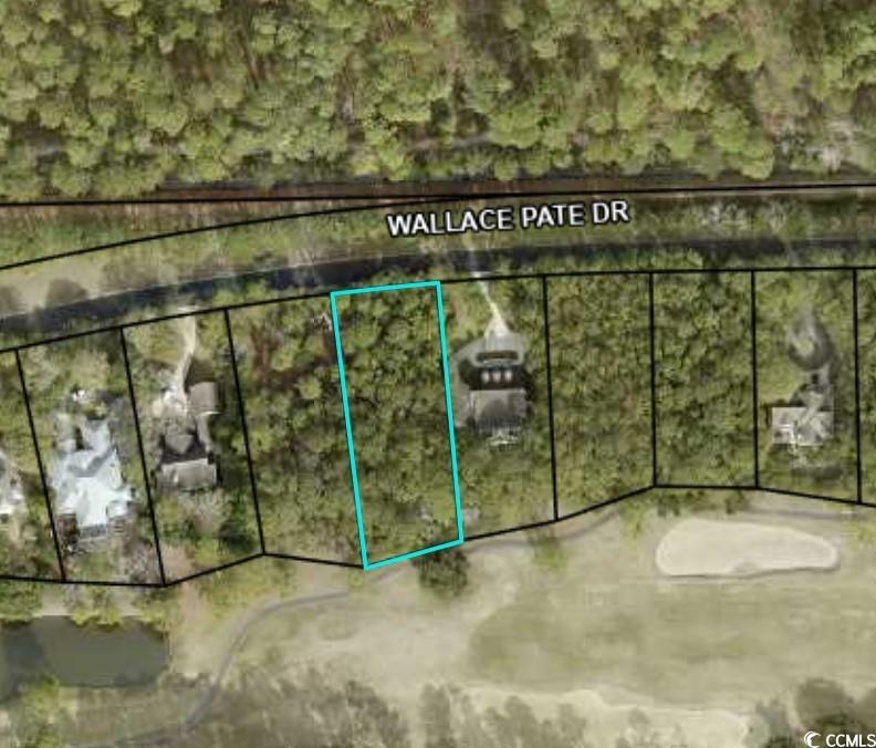 Lot 105 WO Wallace Pate Dr. Georgetown, SC 29440