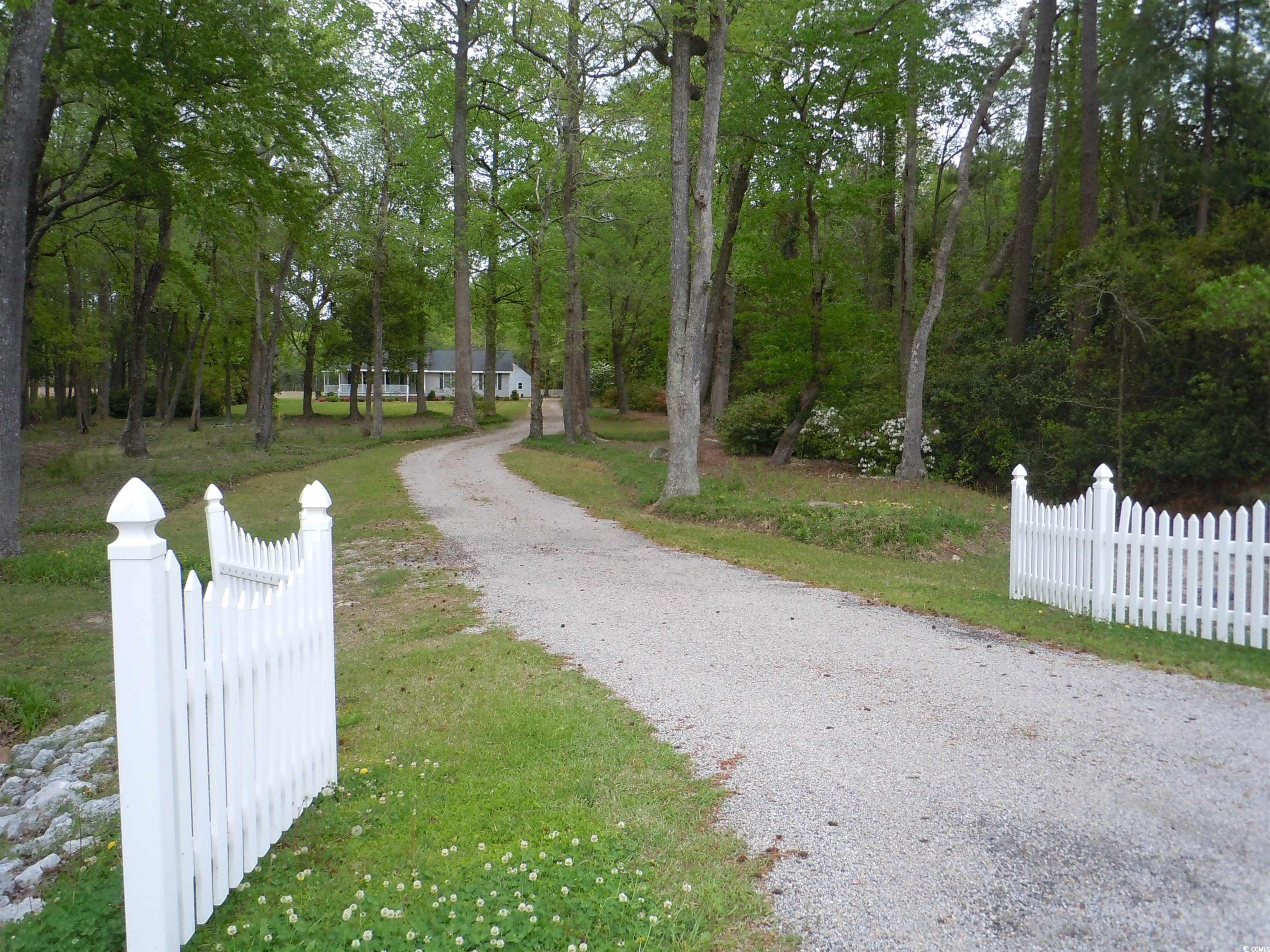 19947 Peacock Rd., Clarendon, North Carolina image 37